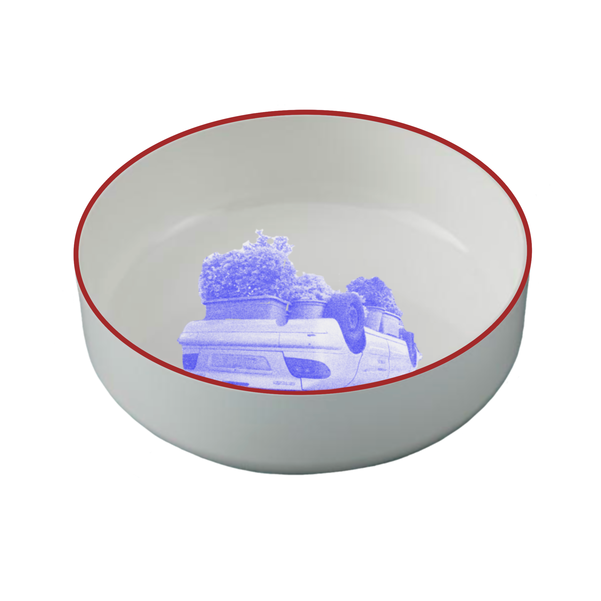 IMG_0303.PNG