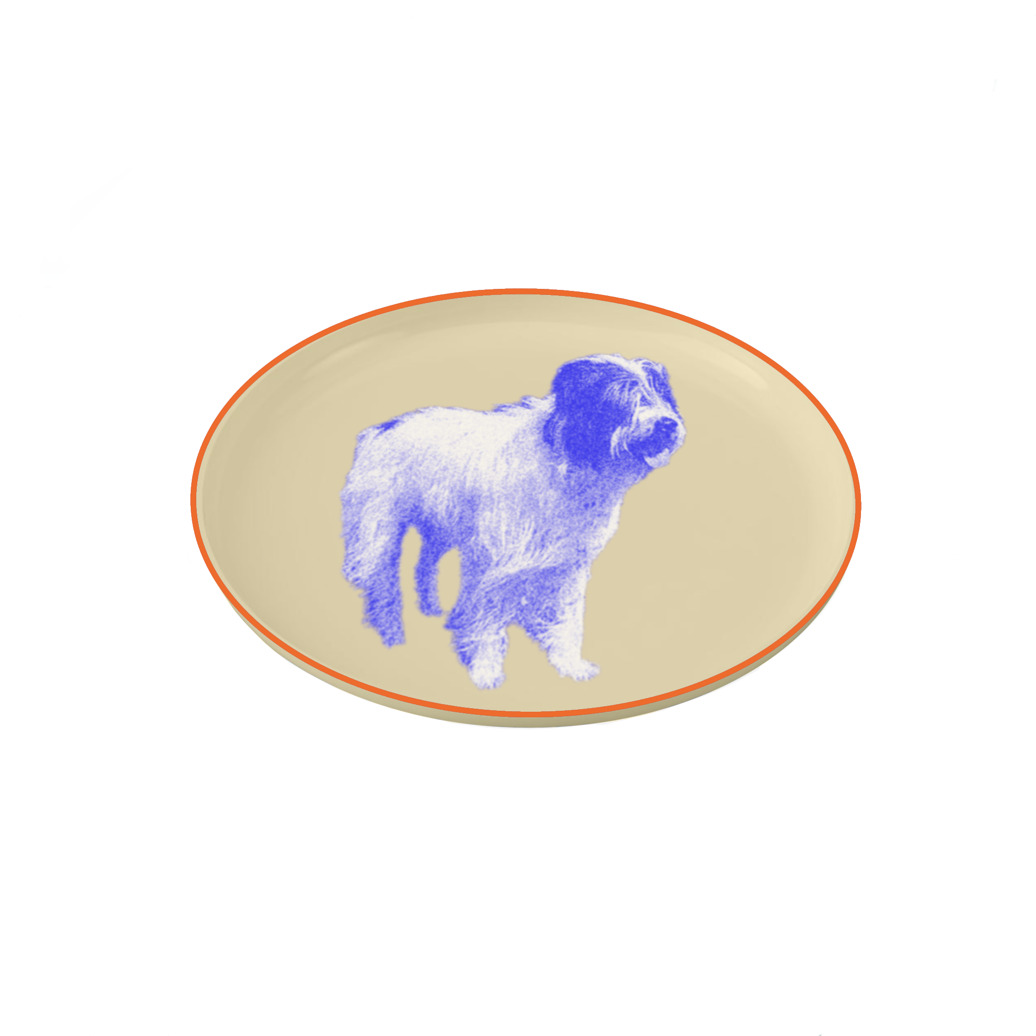 IMG_0214.PNG