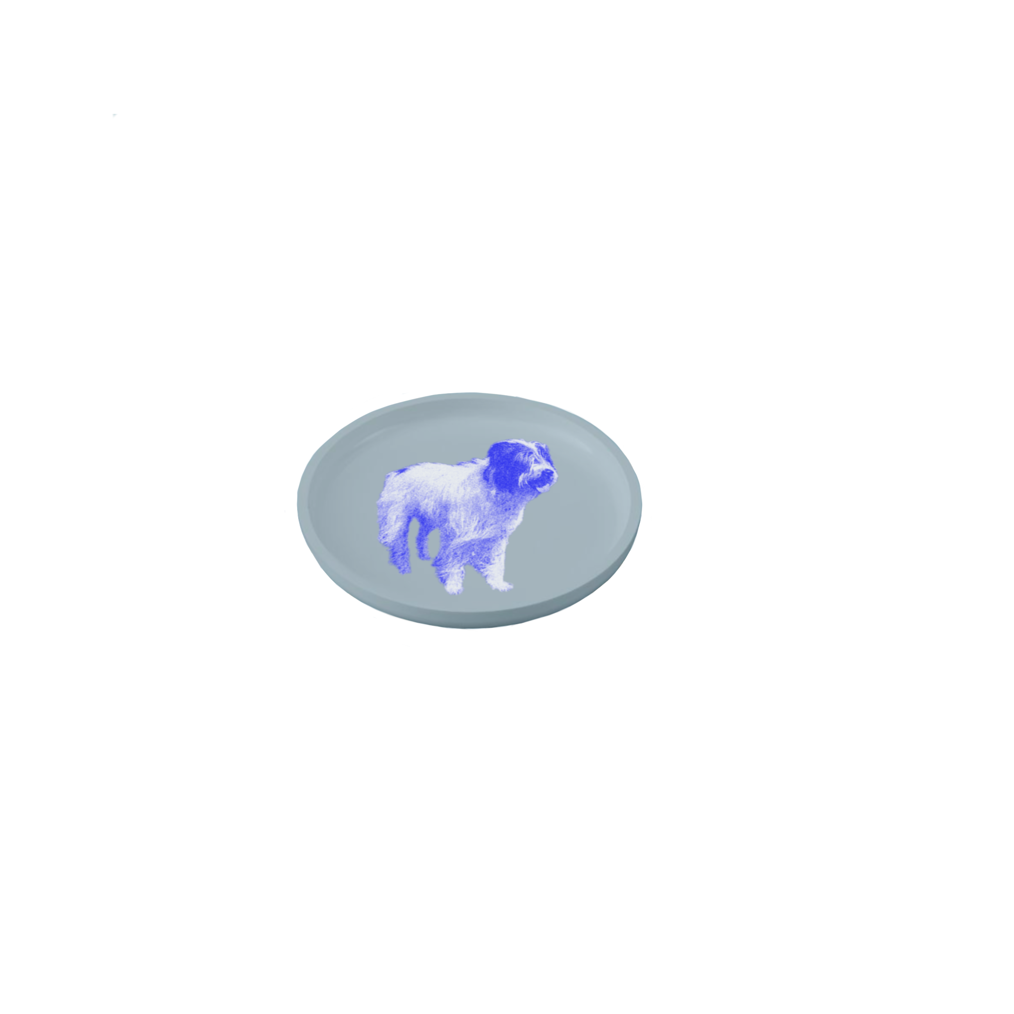 IMG_0356.PNG