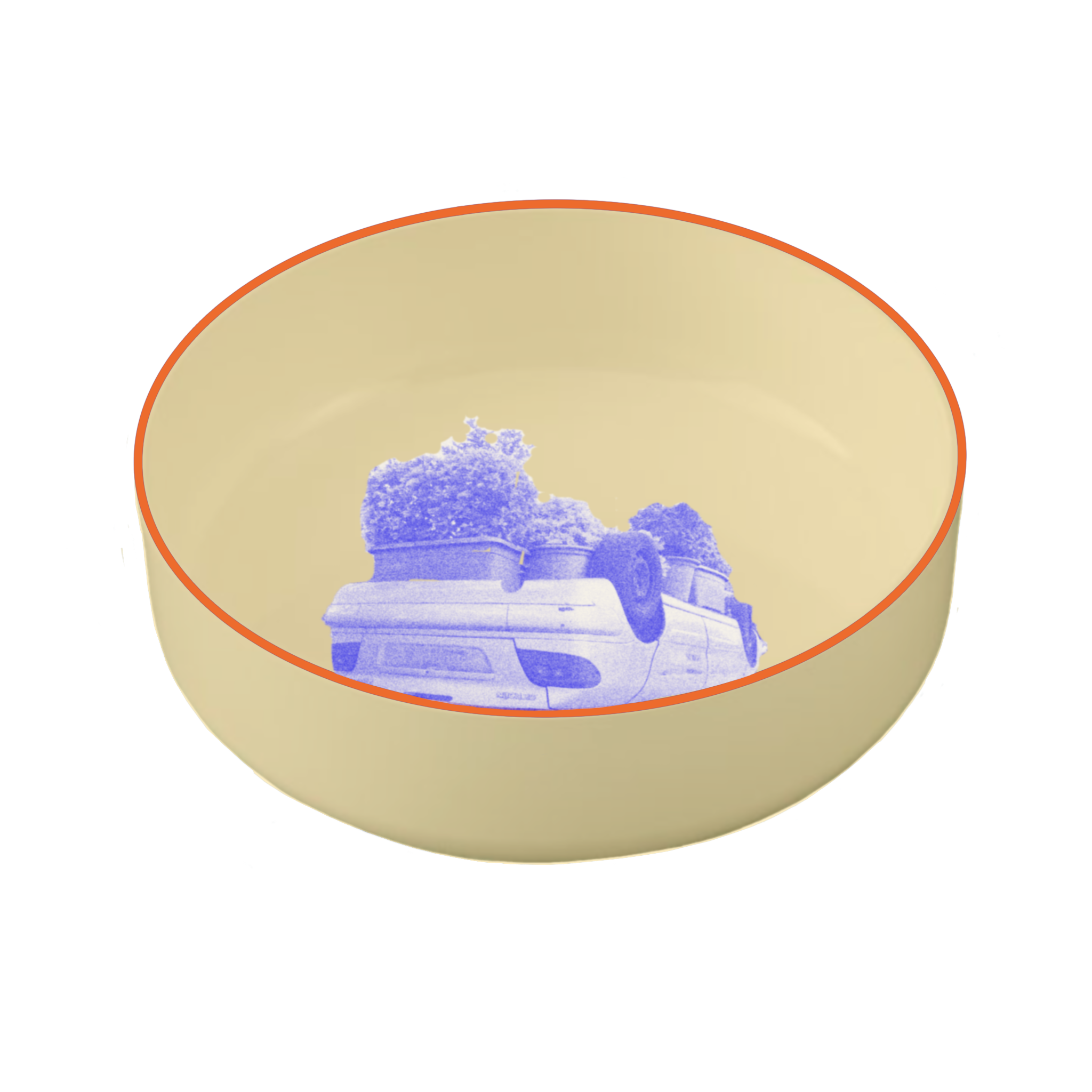 IMG_0273.PNG