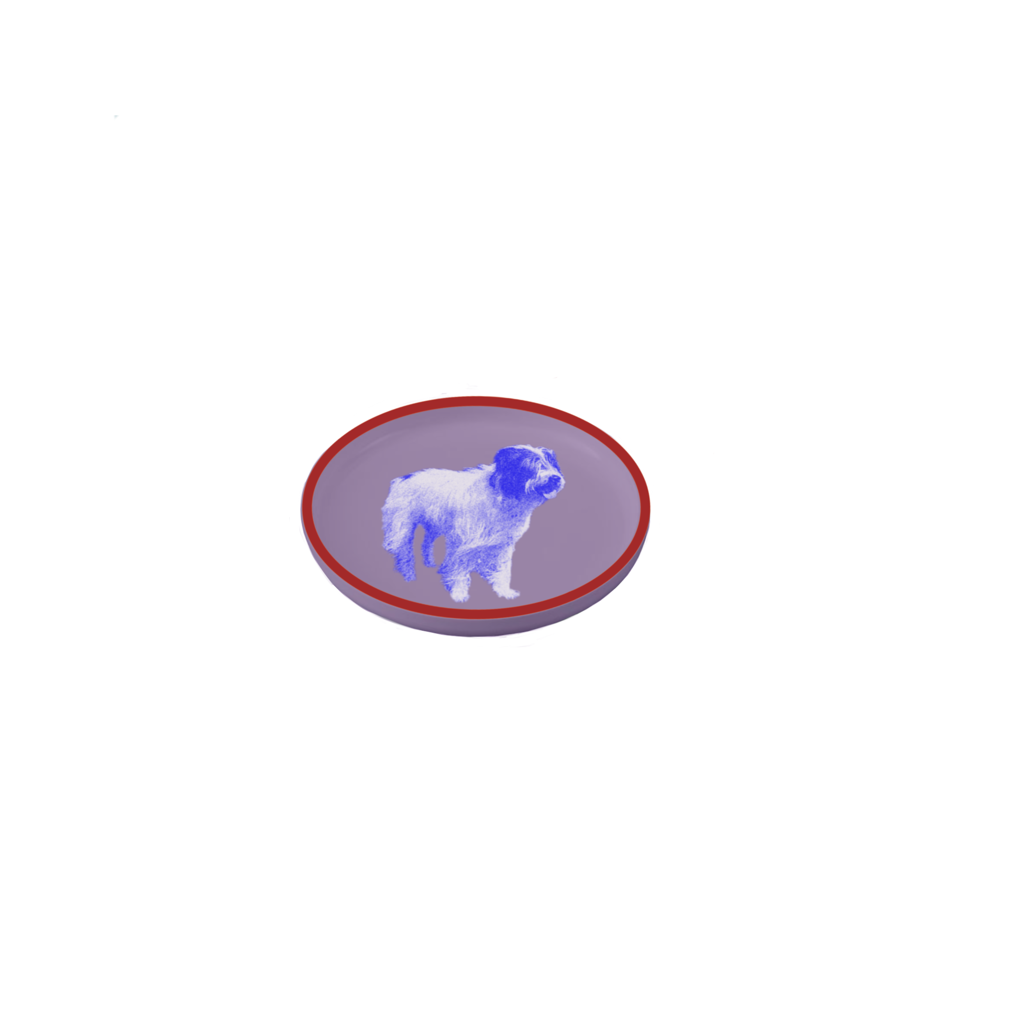IMG_0334.PNG