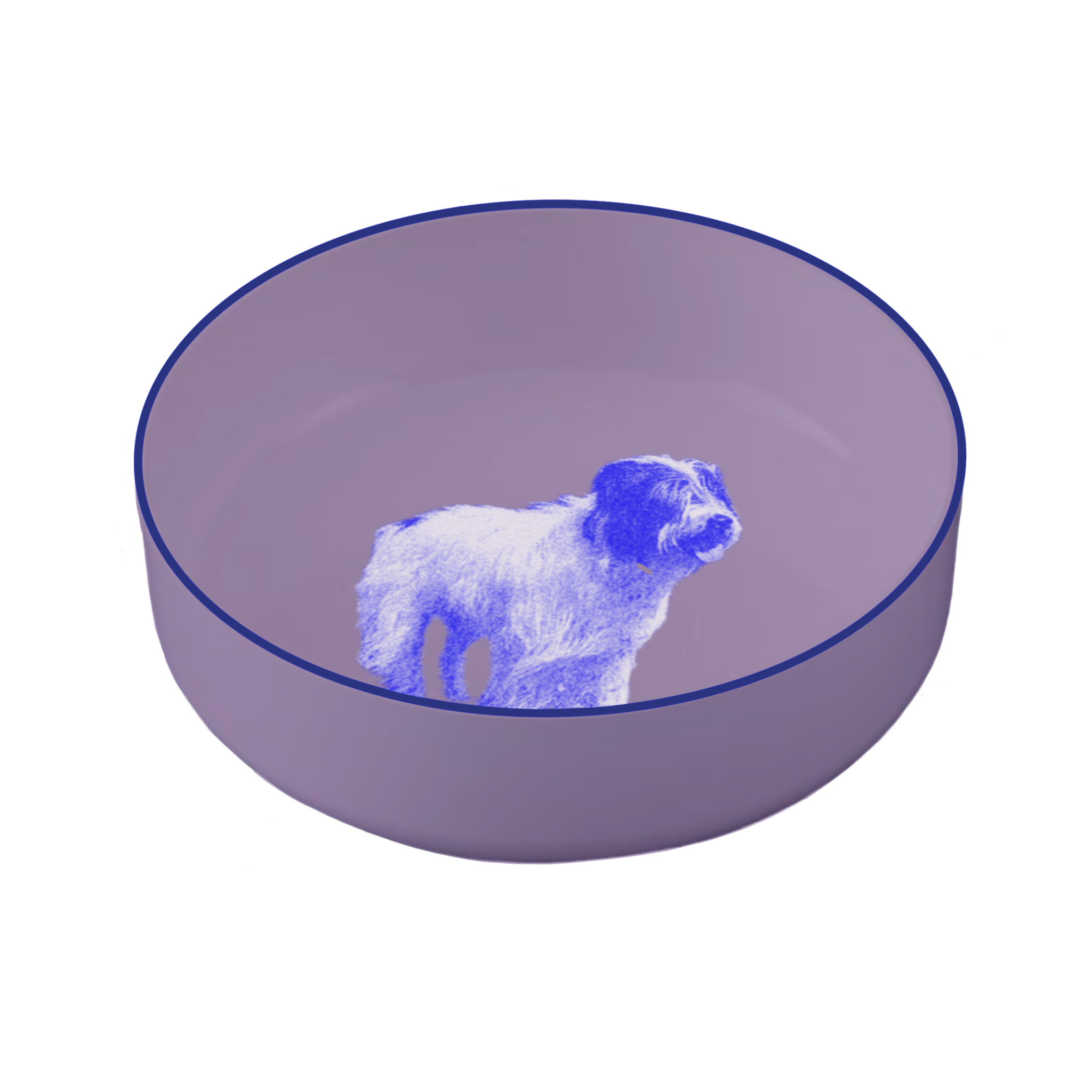 IMG_0296.PNG