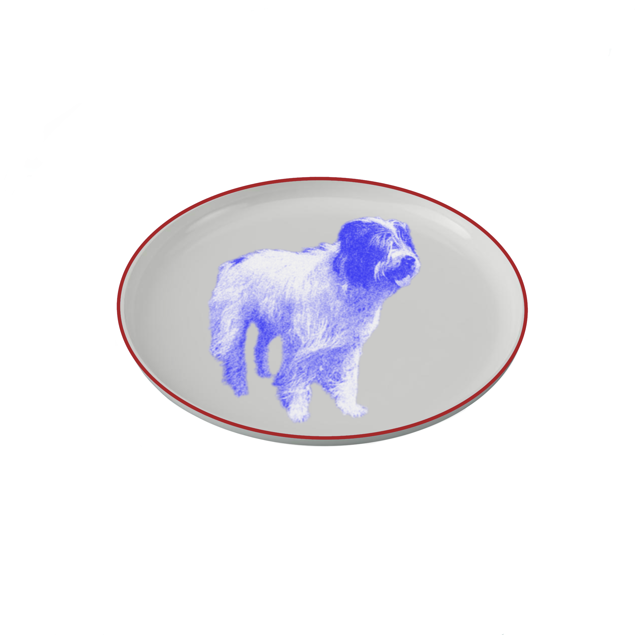 IMG_0248.PNG