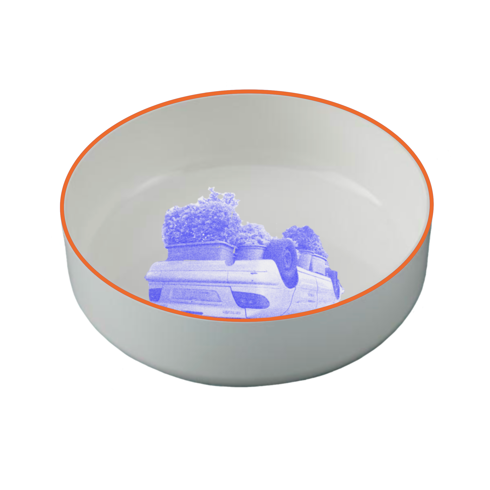 IMG_0300.PNG