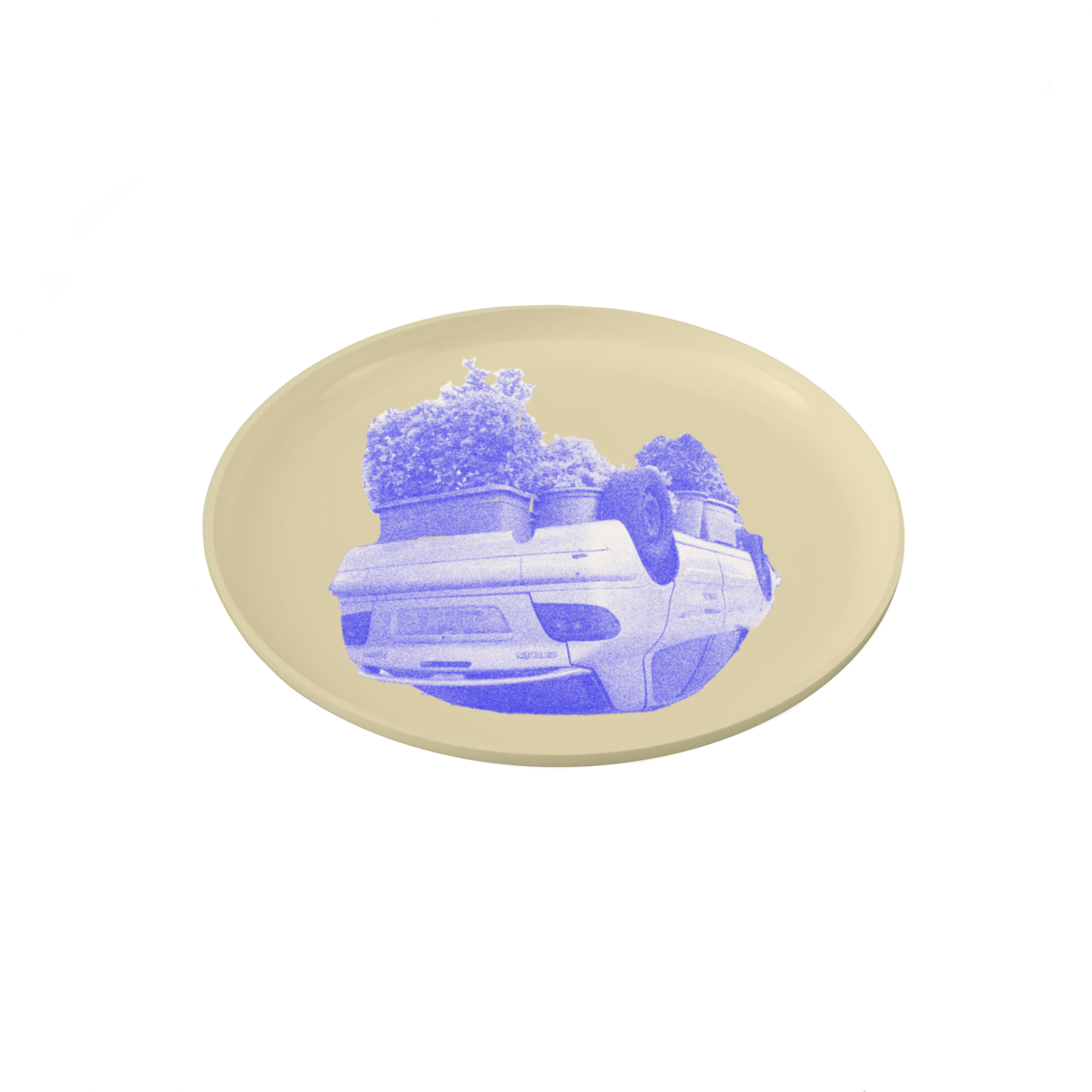 IMG_0223.PNG