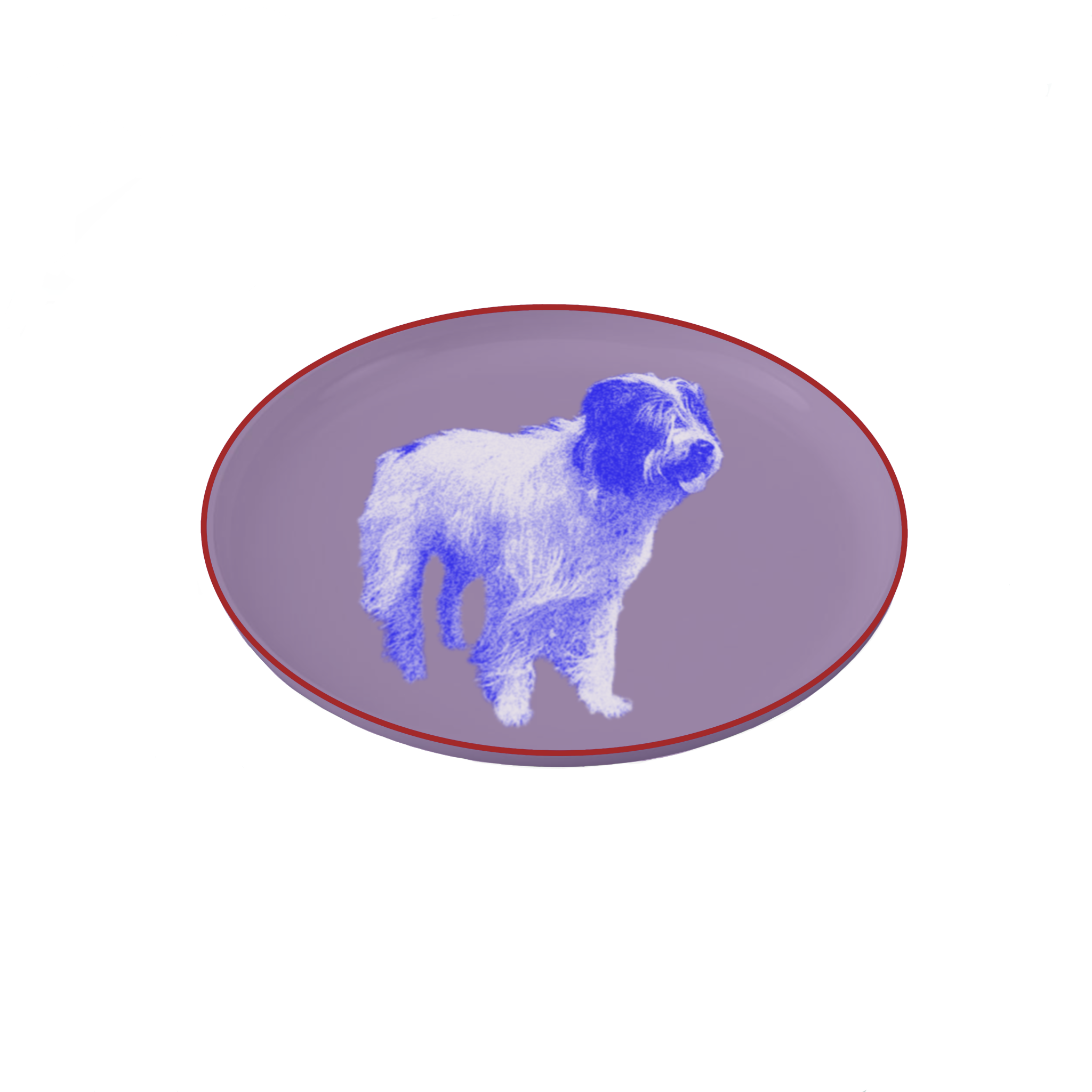 IMG_0221.PNG