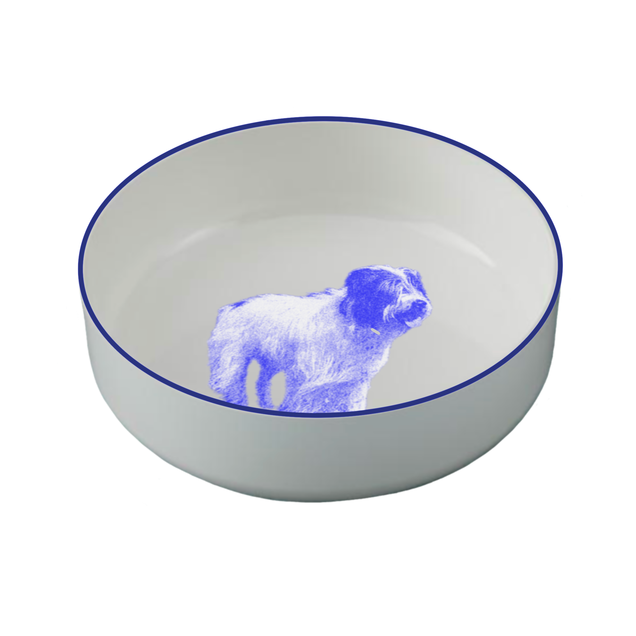 IMG_0308.PNG