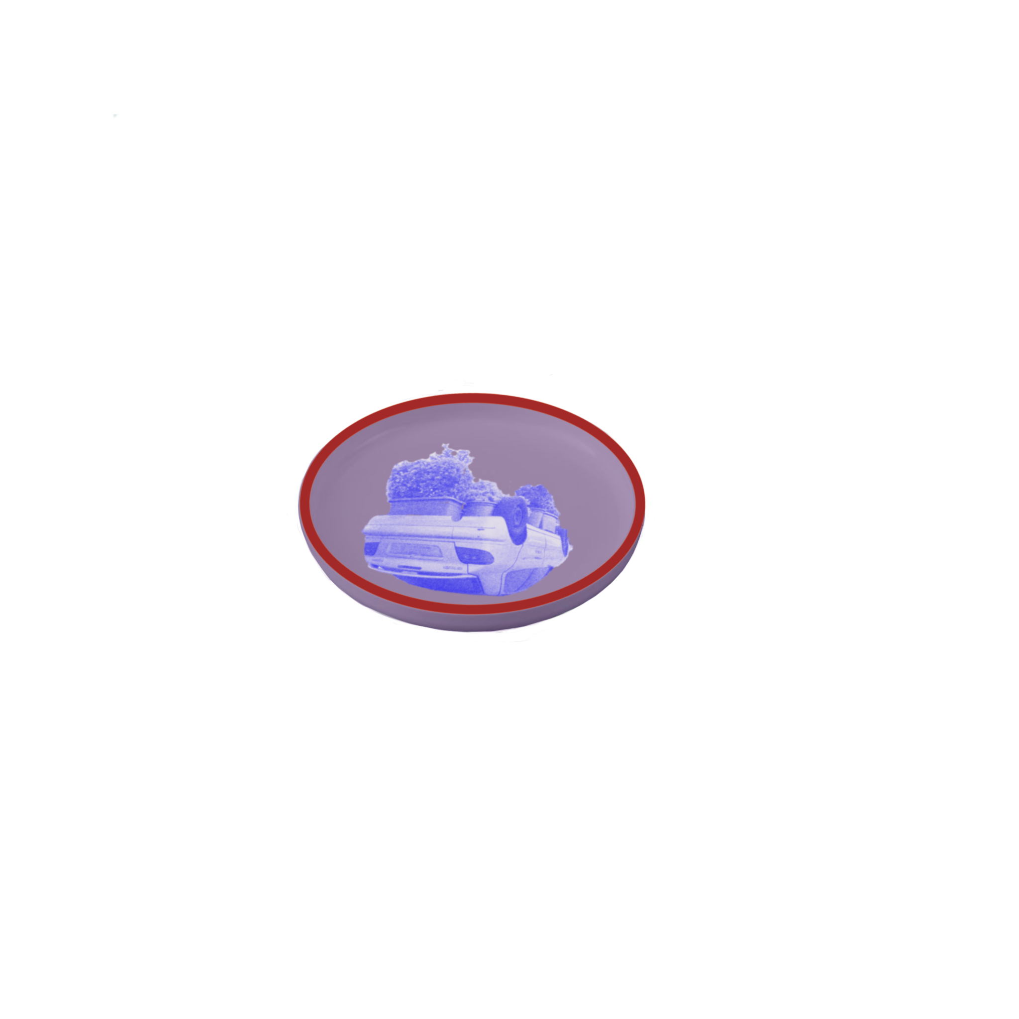 IMG_0336.PNG