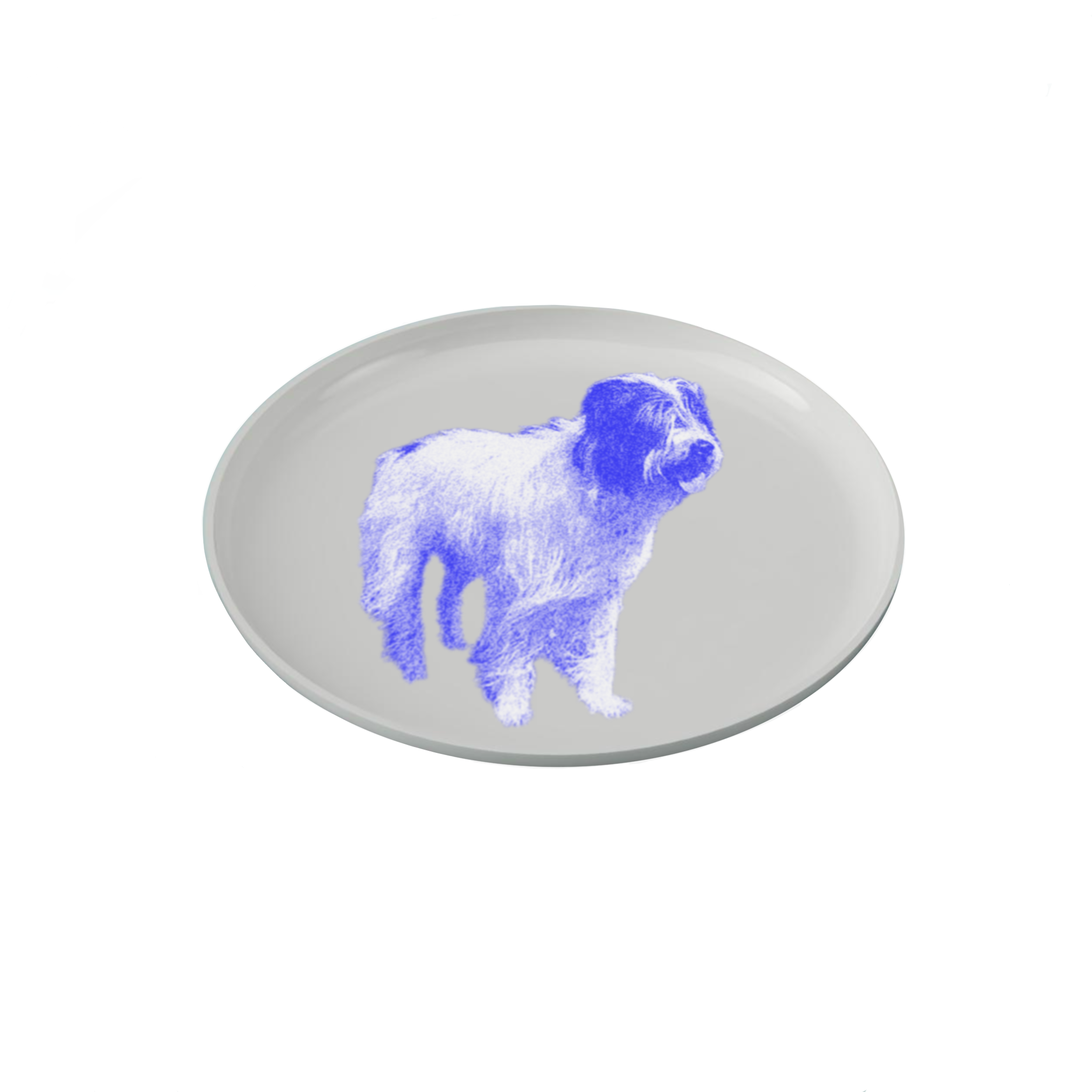 IMG_0206.PNG