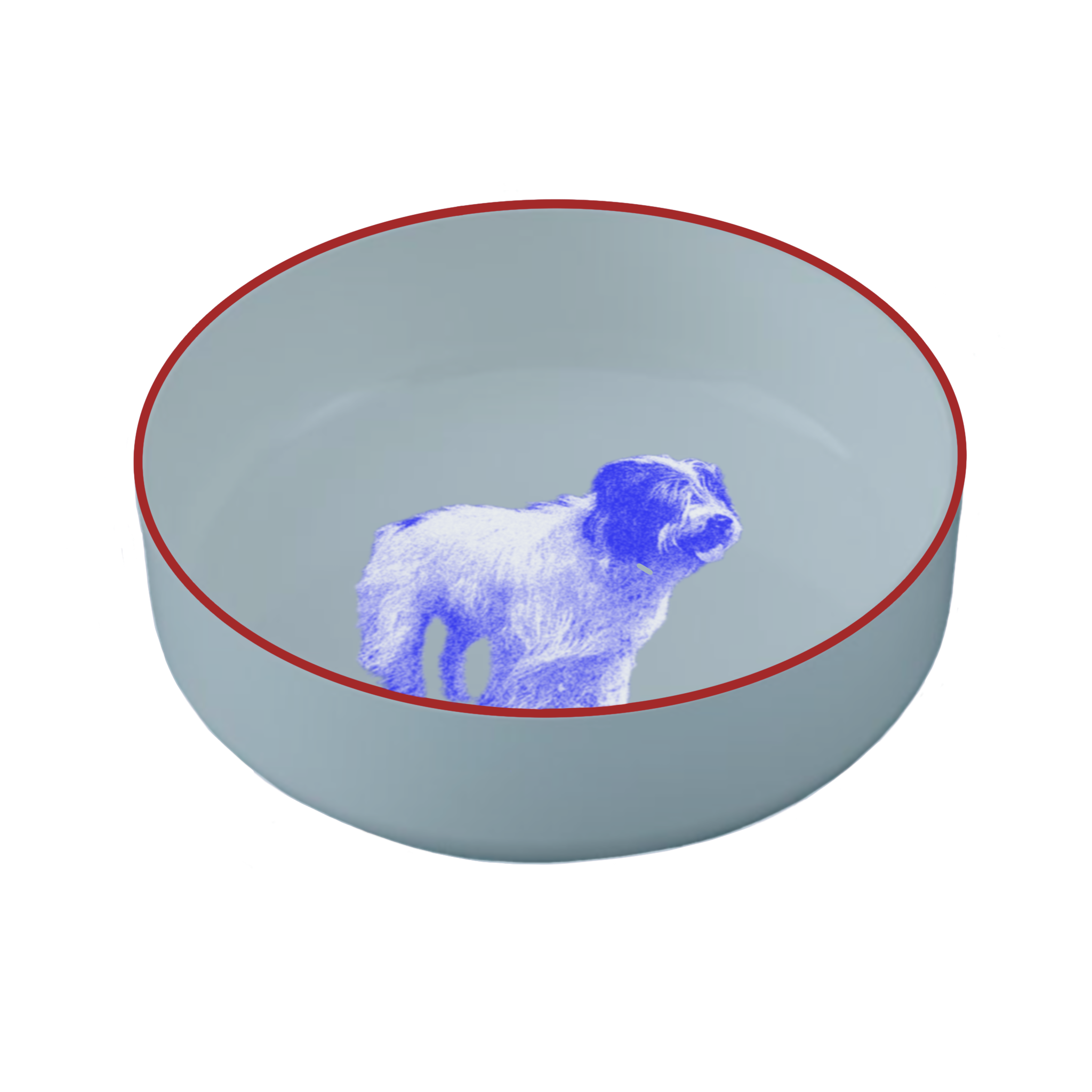 IMG_0284.PNG