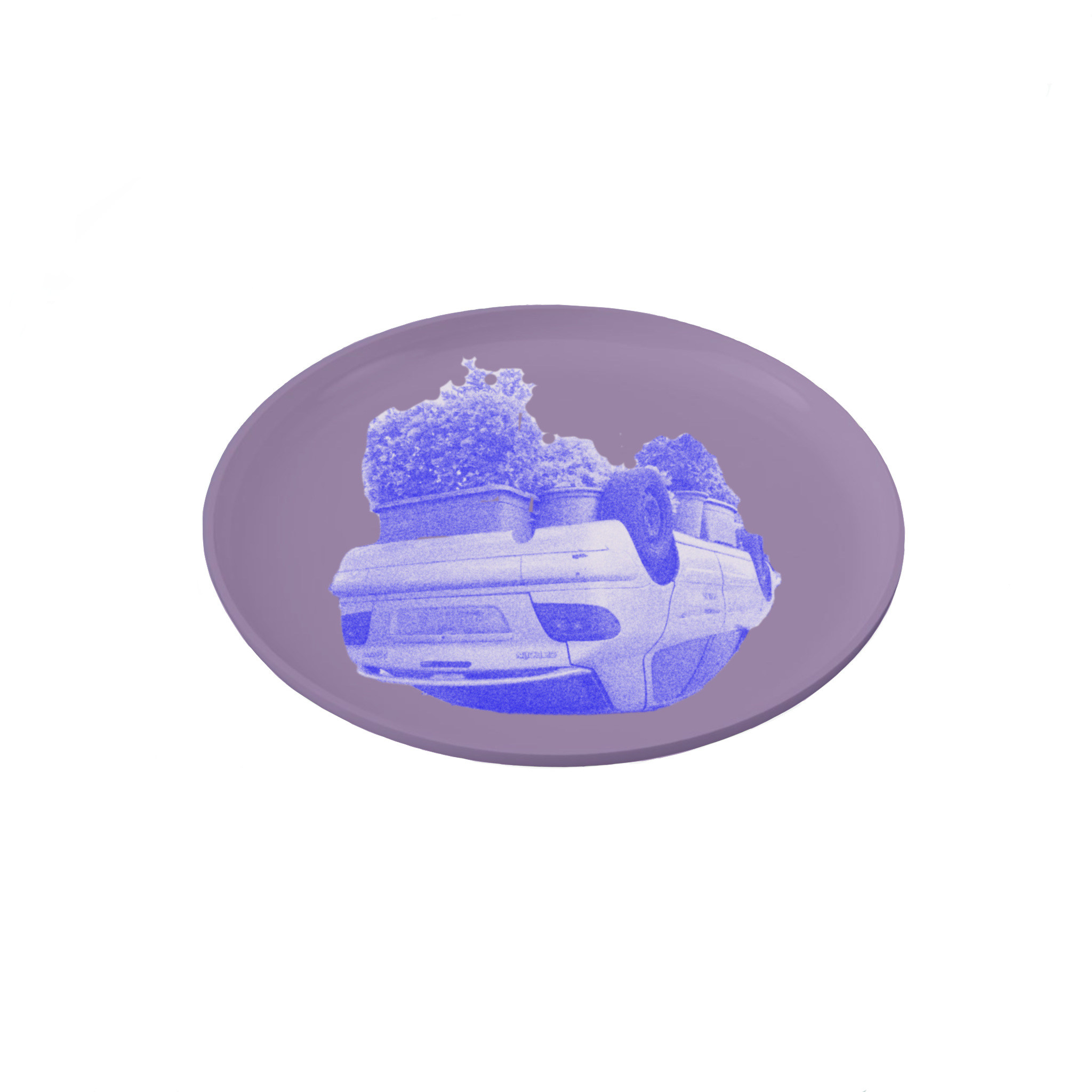 IMG_0231.PNG