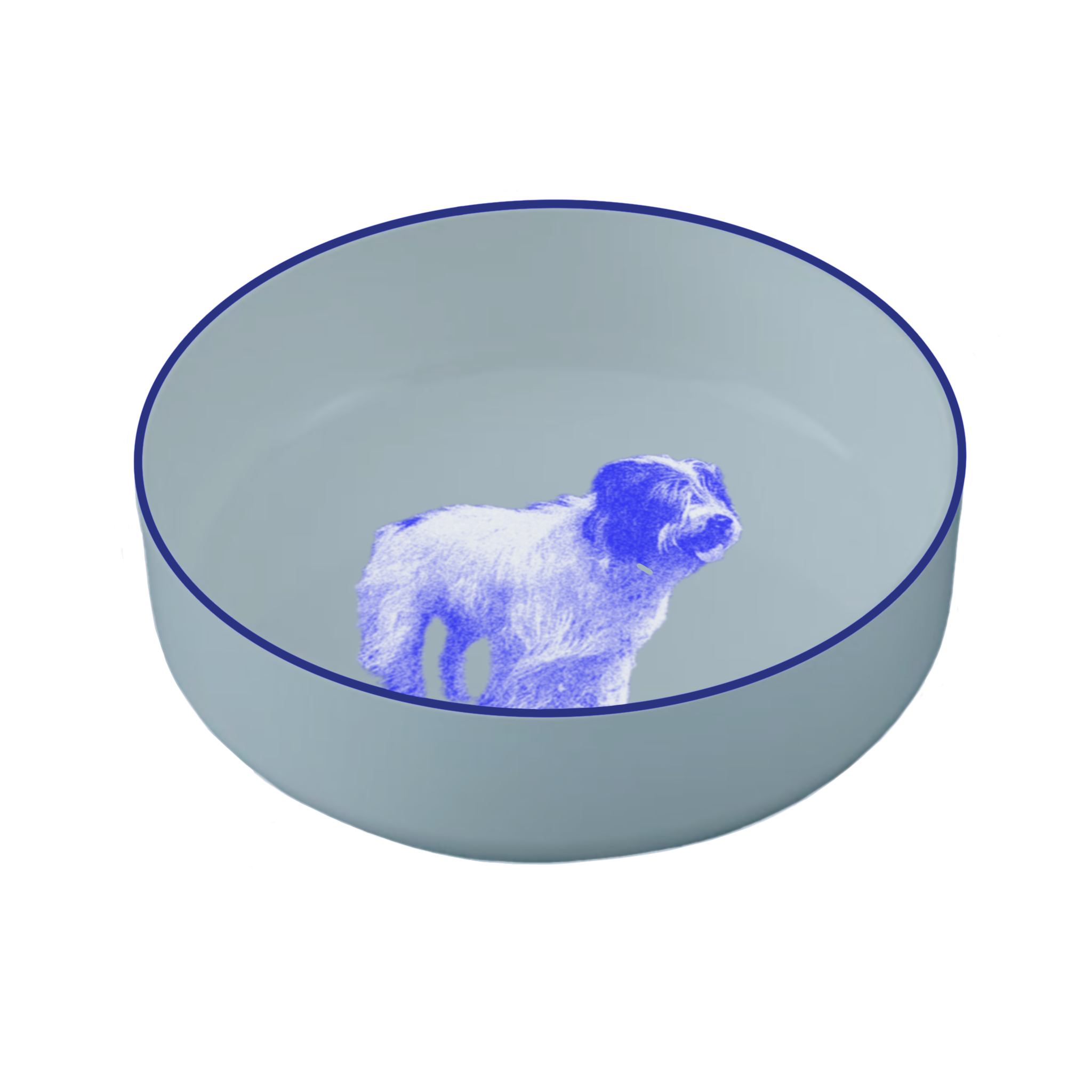 IMG_0287.PNG
