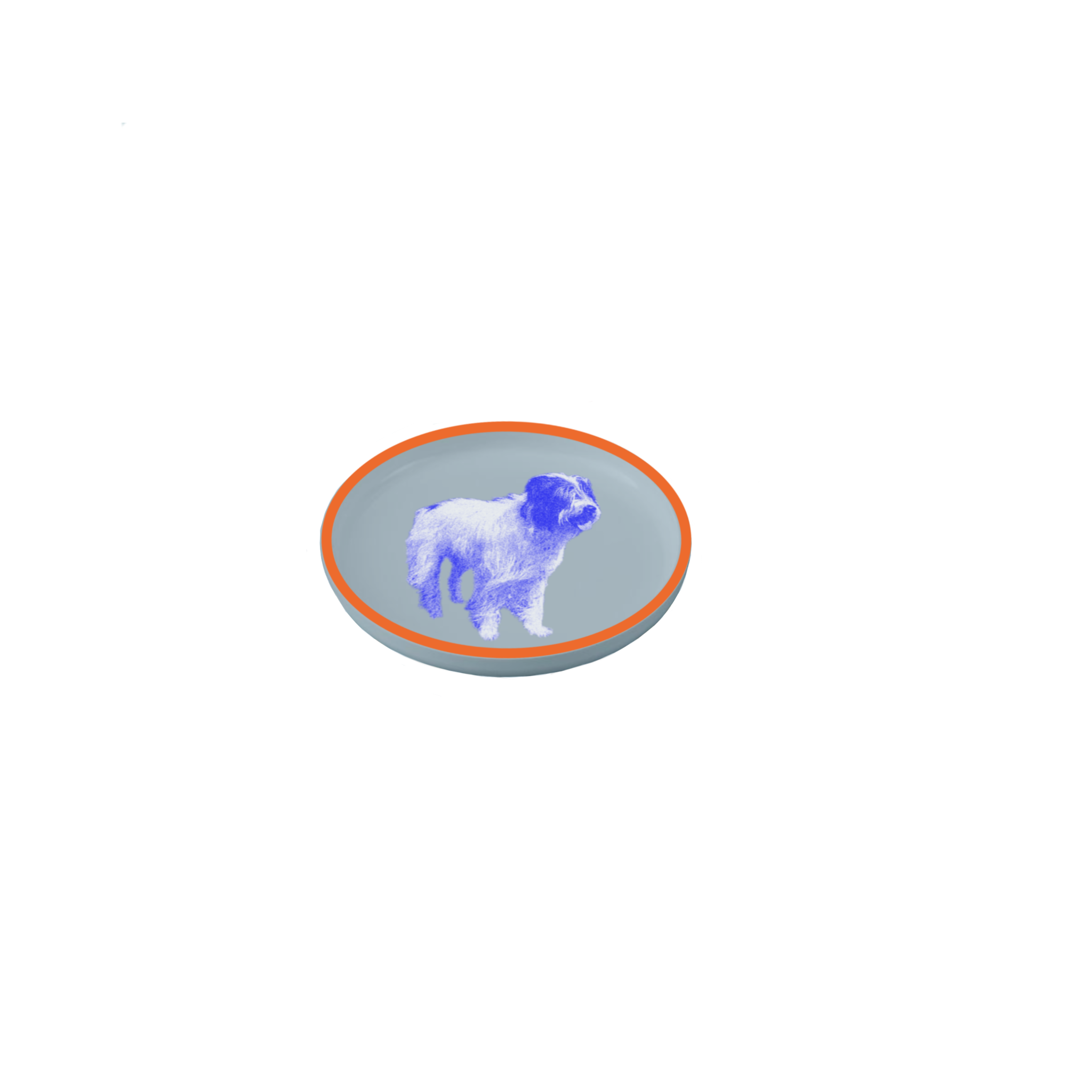 IMG_0349.PNG