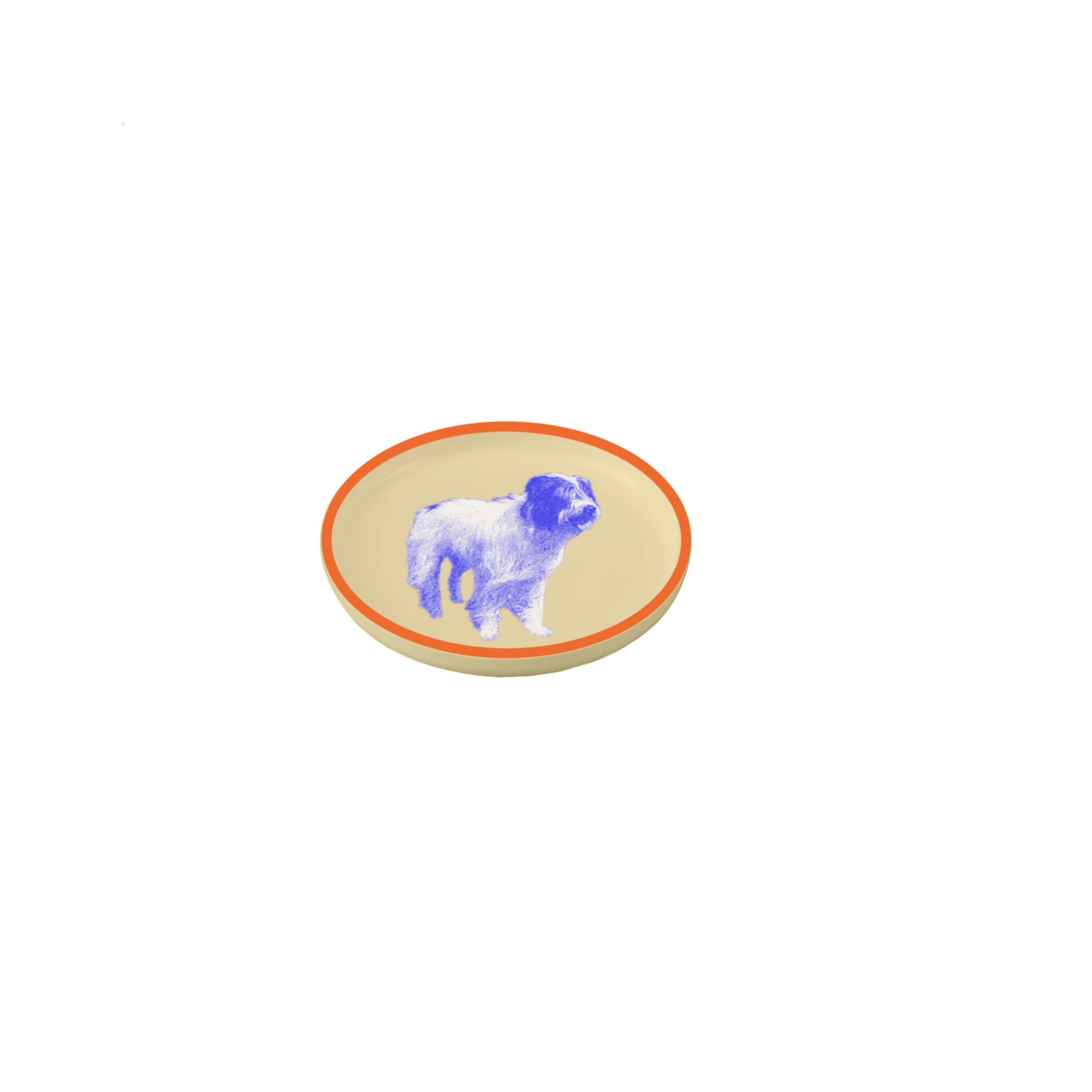 IMG_0365.PNG