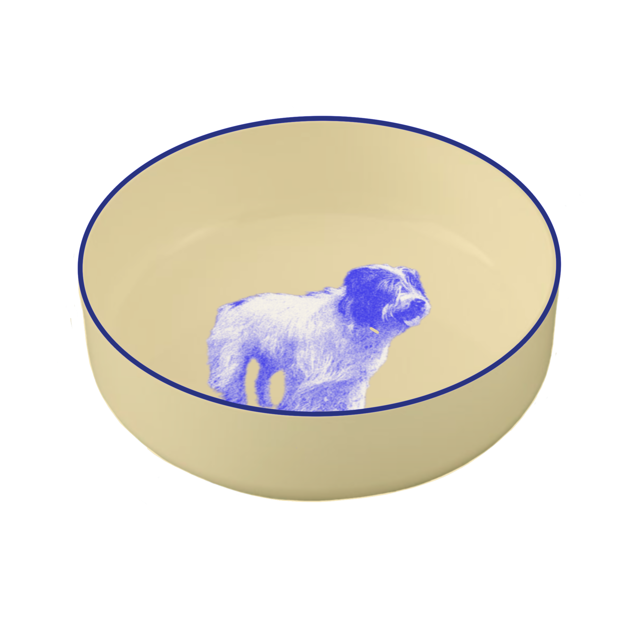 IMG_0278.PNG