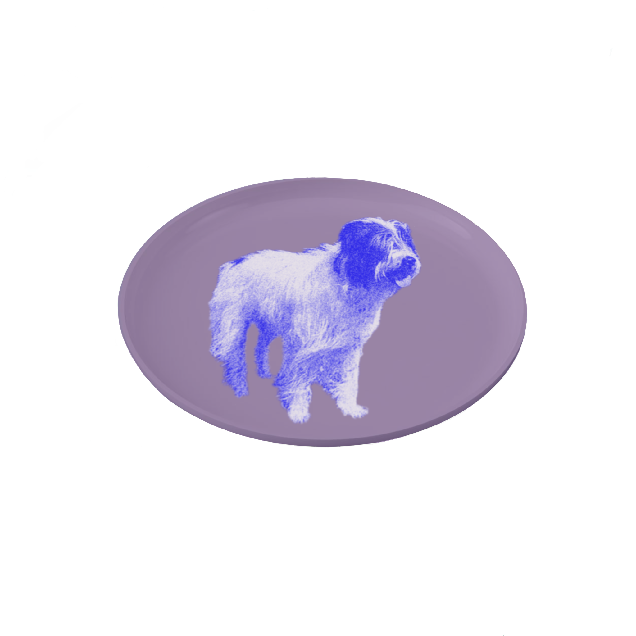 IMG_0219.PNG