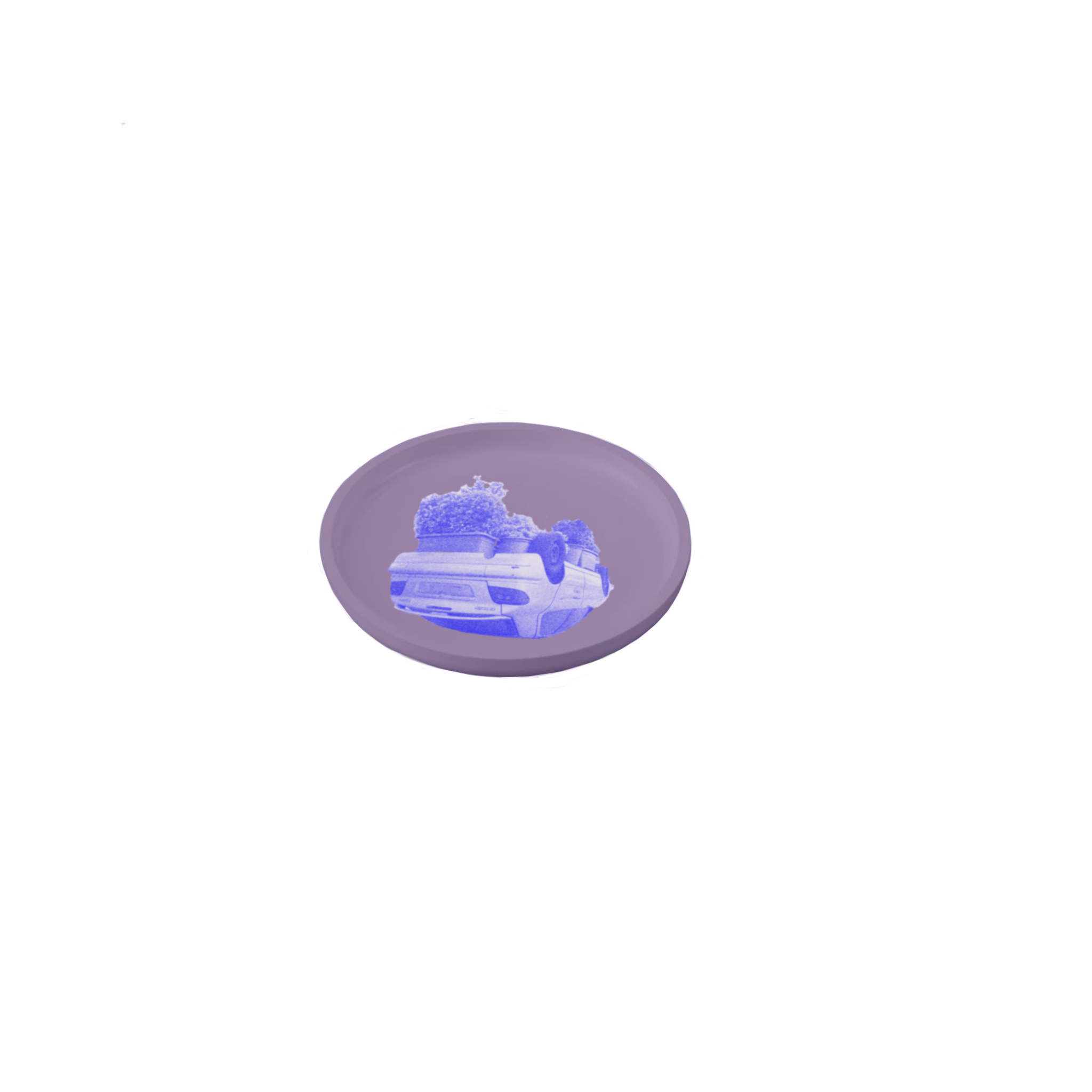 IMG_0342.PNG