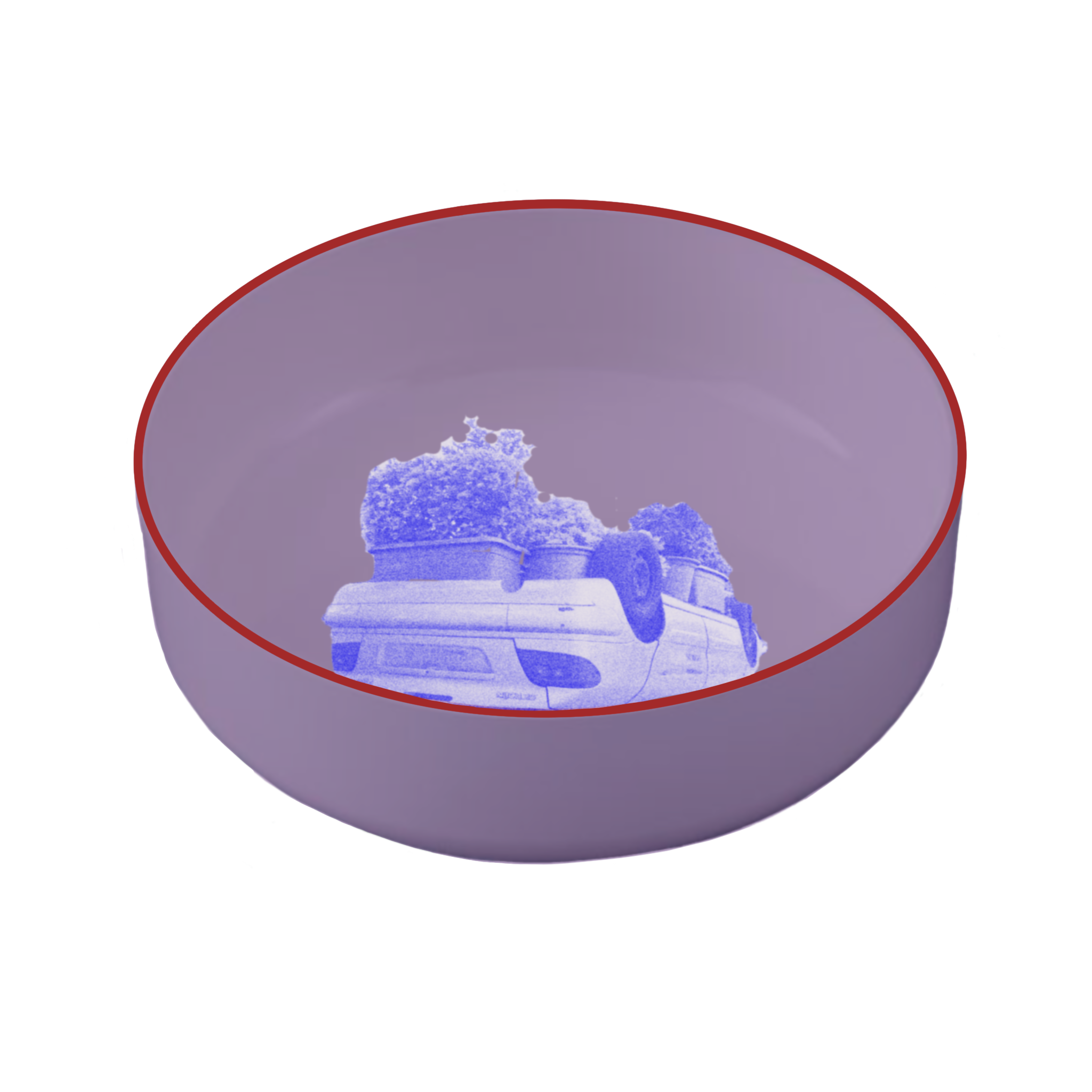 IMG_0294.PNG