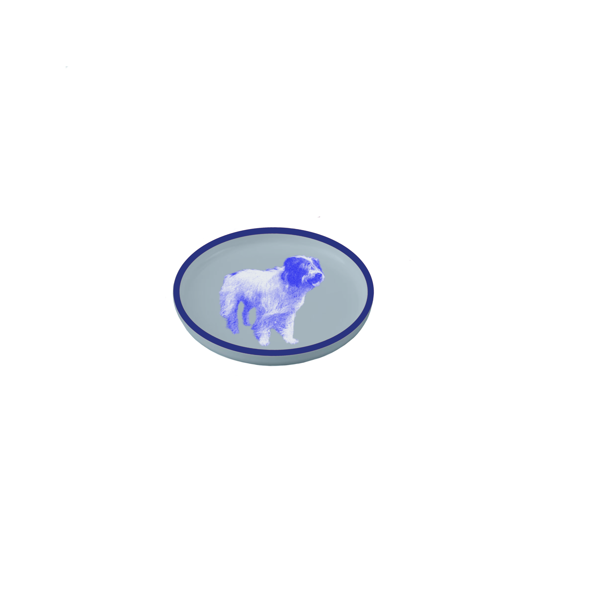 IMG_0355.PNG