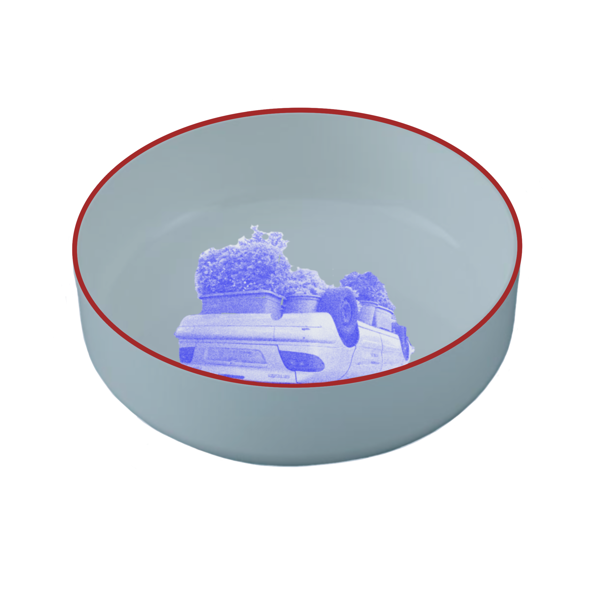 IMG_0285.PNG