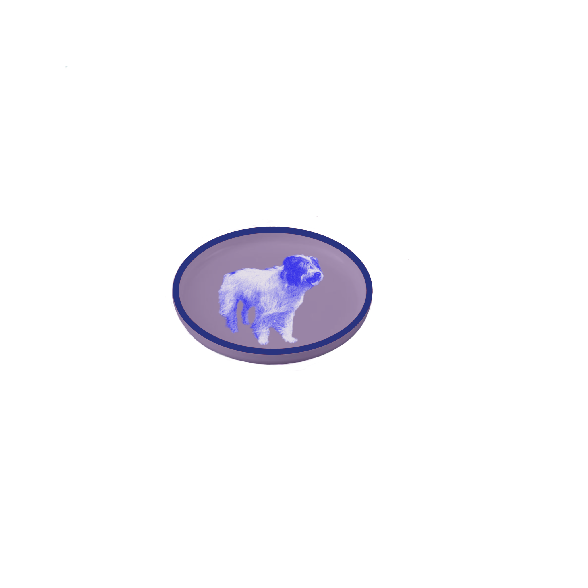 IMG_0339.PNG