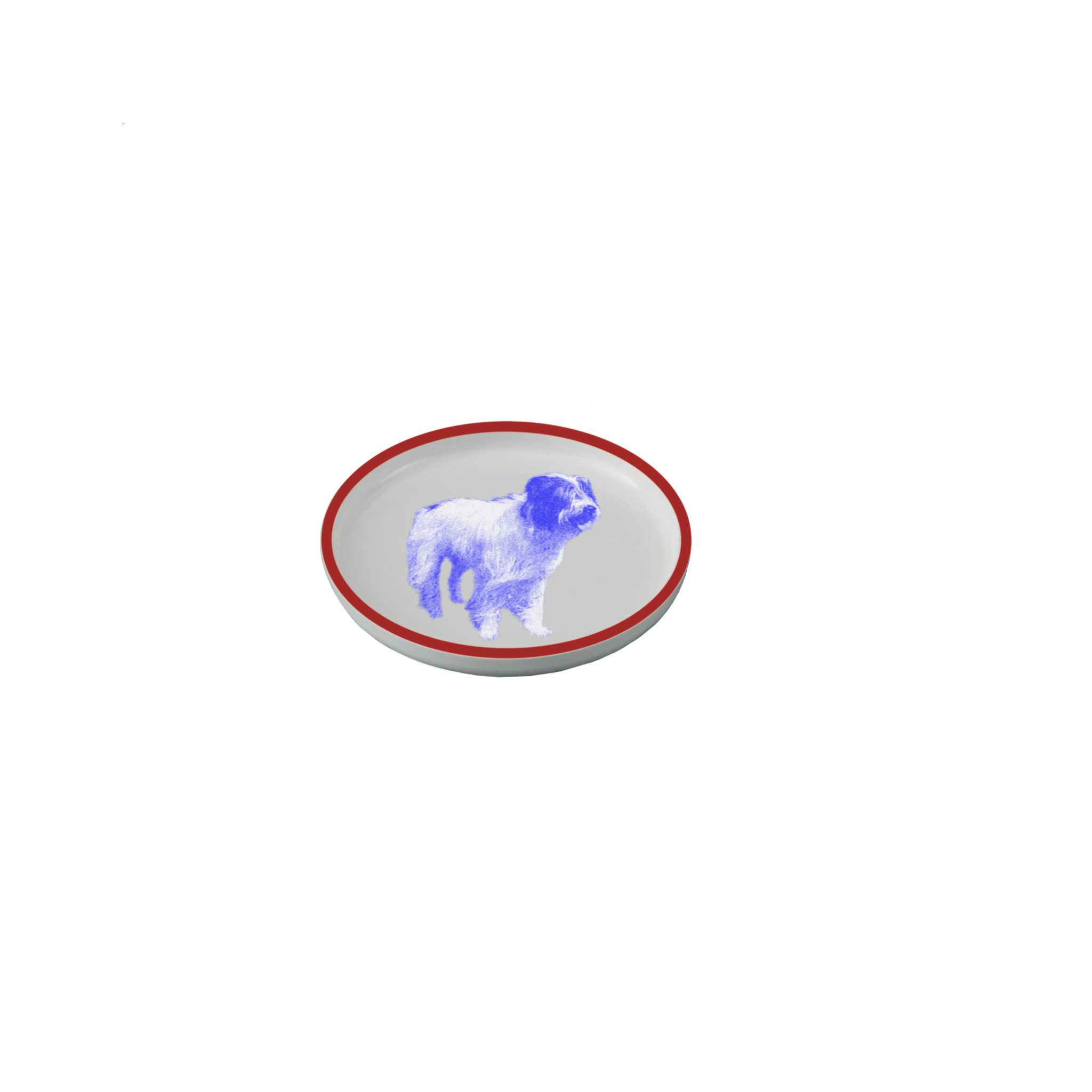 IMG_0314.PNG