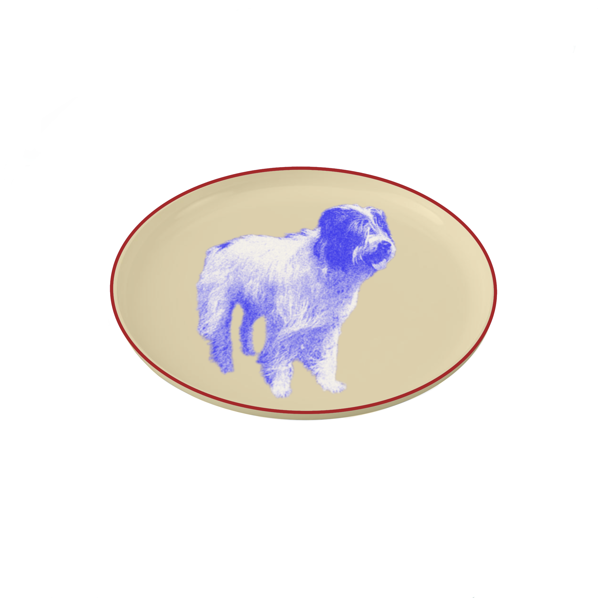 IMG_0213.PNG
