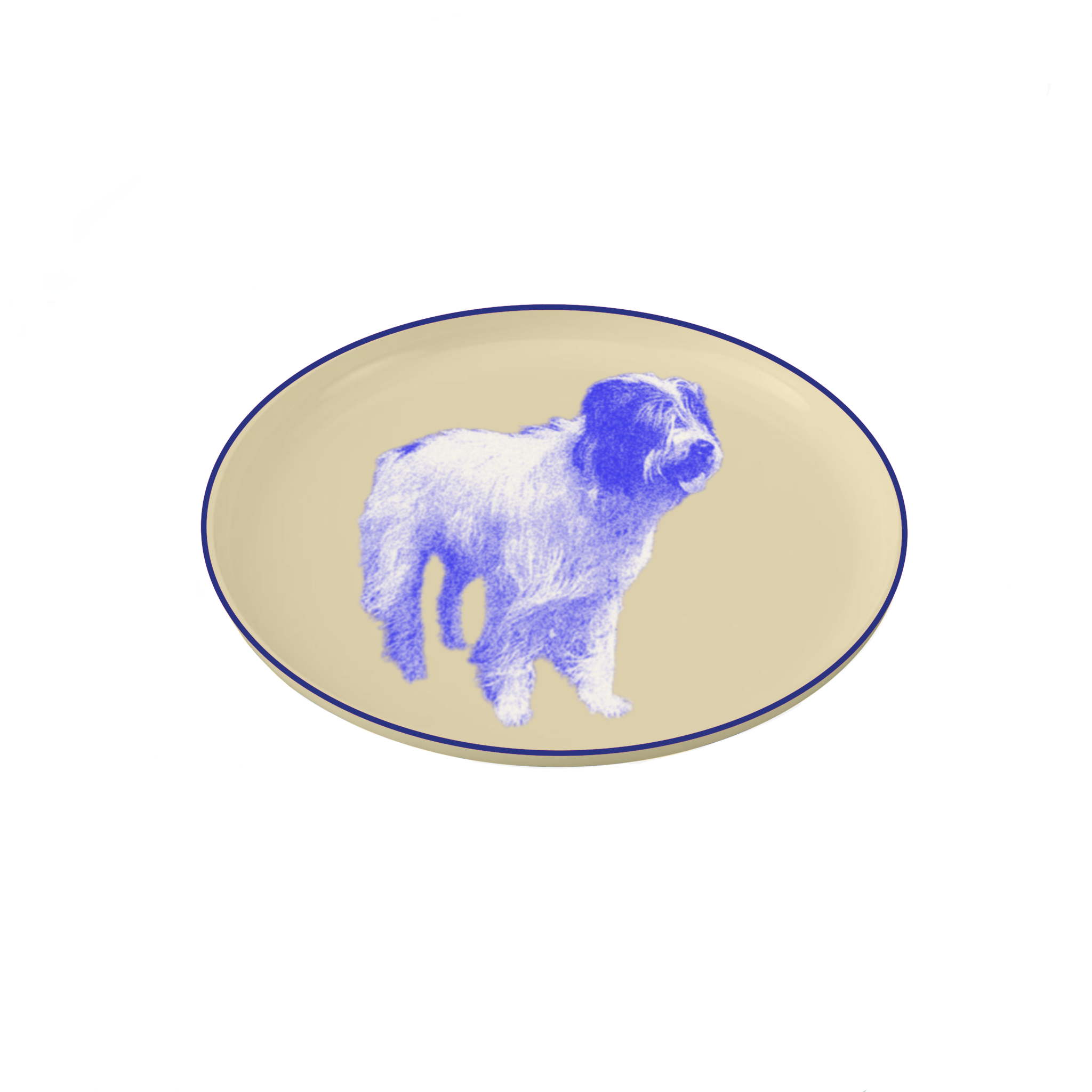 IMG_0212.PNG