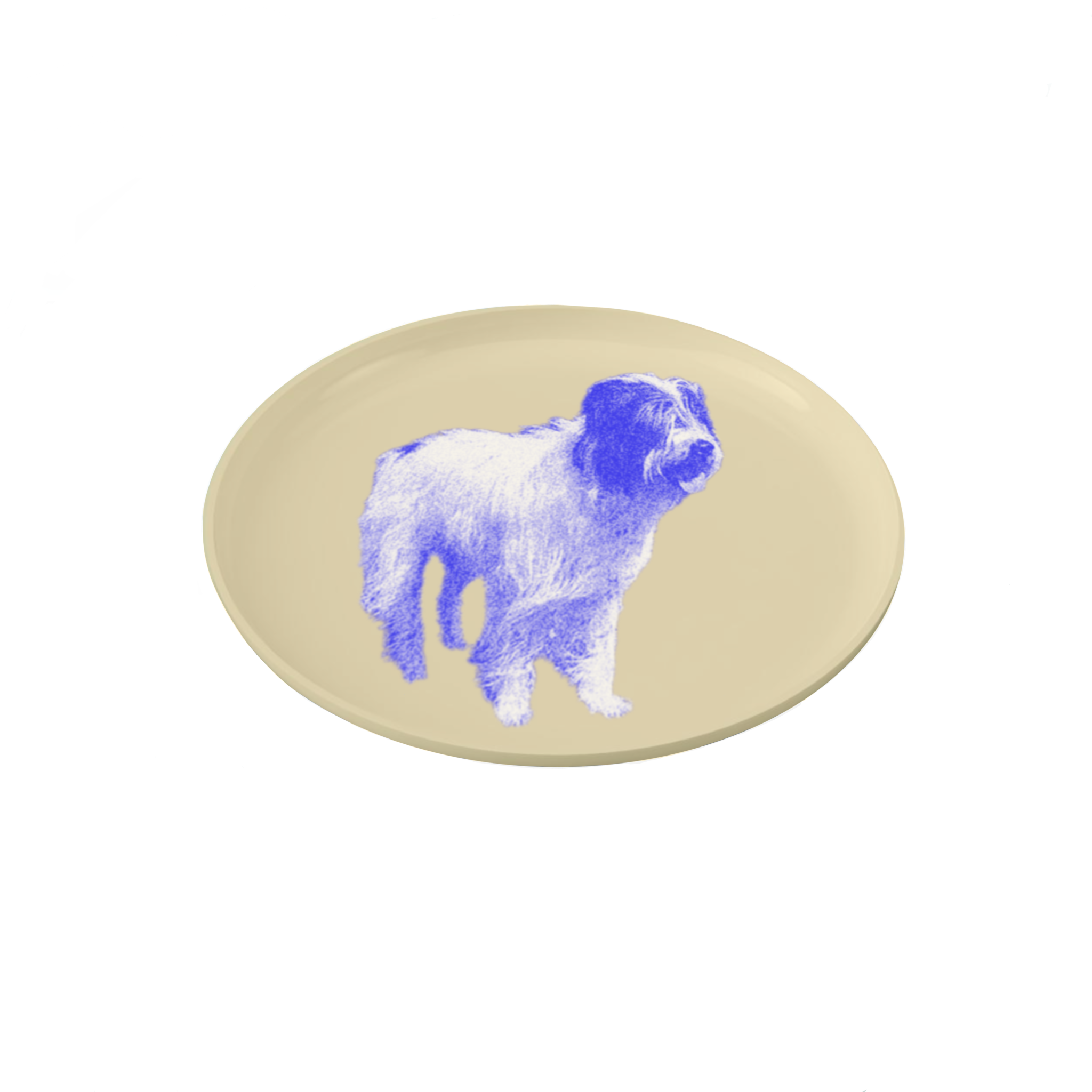 IMG_0211.PNG