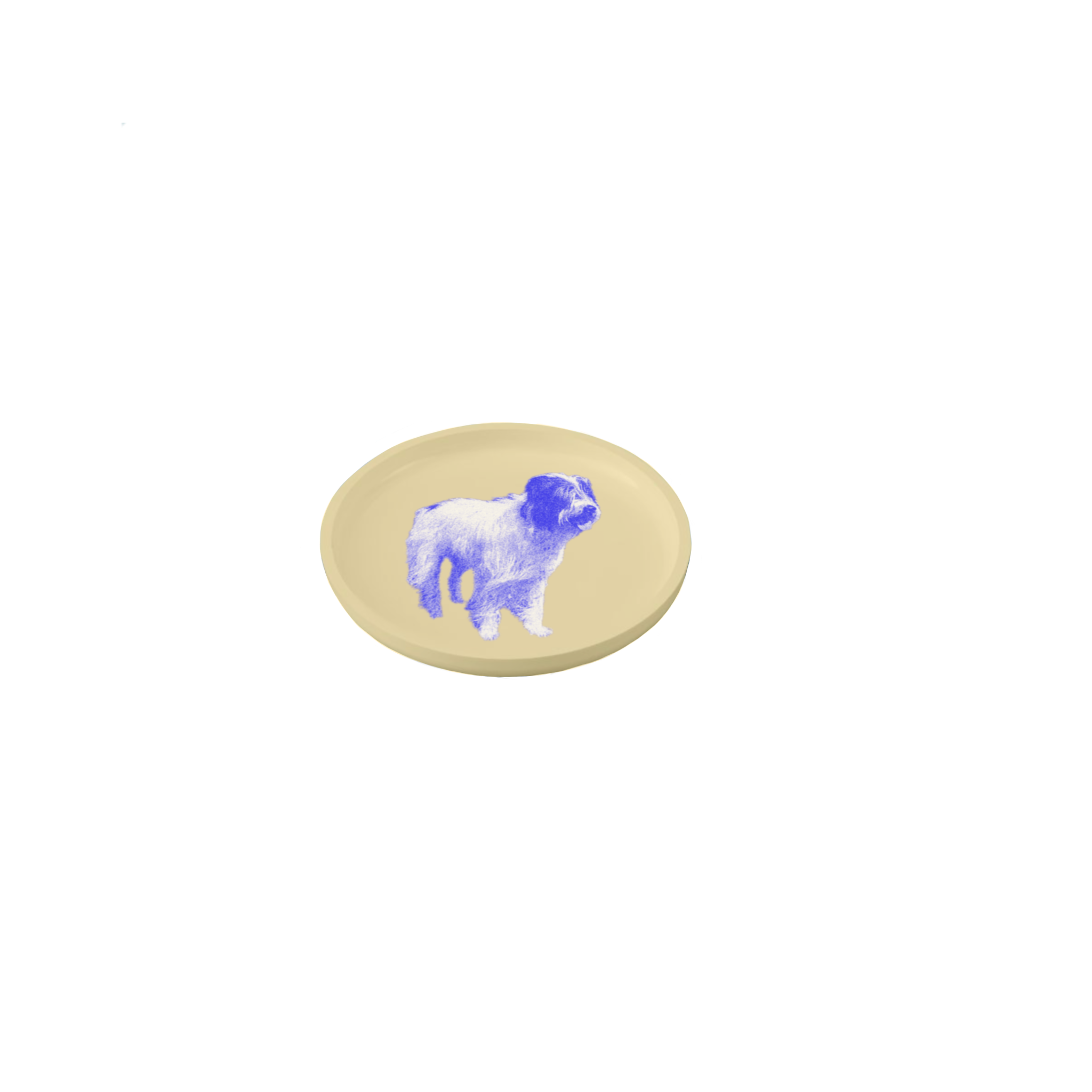 IMG_0372.PNG