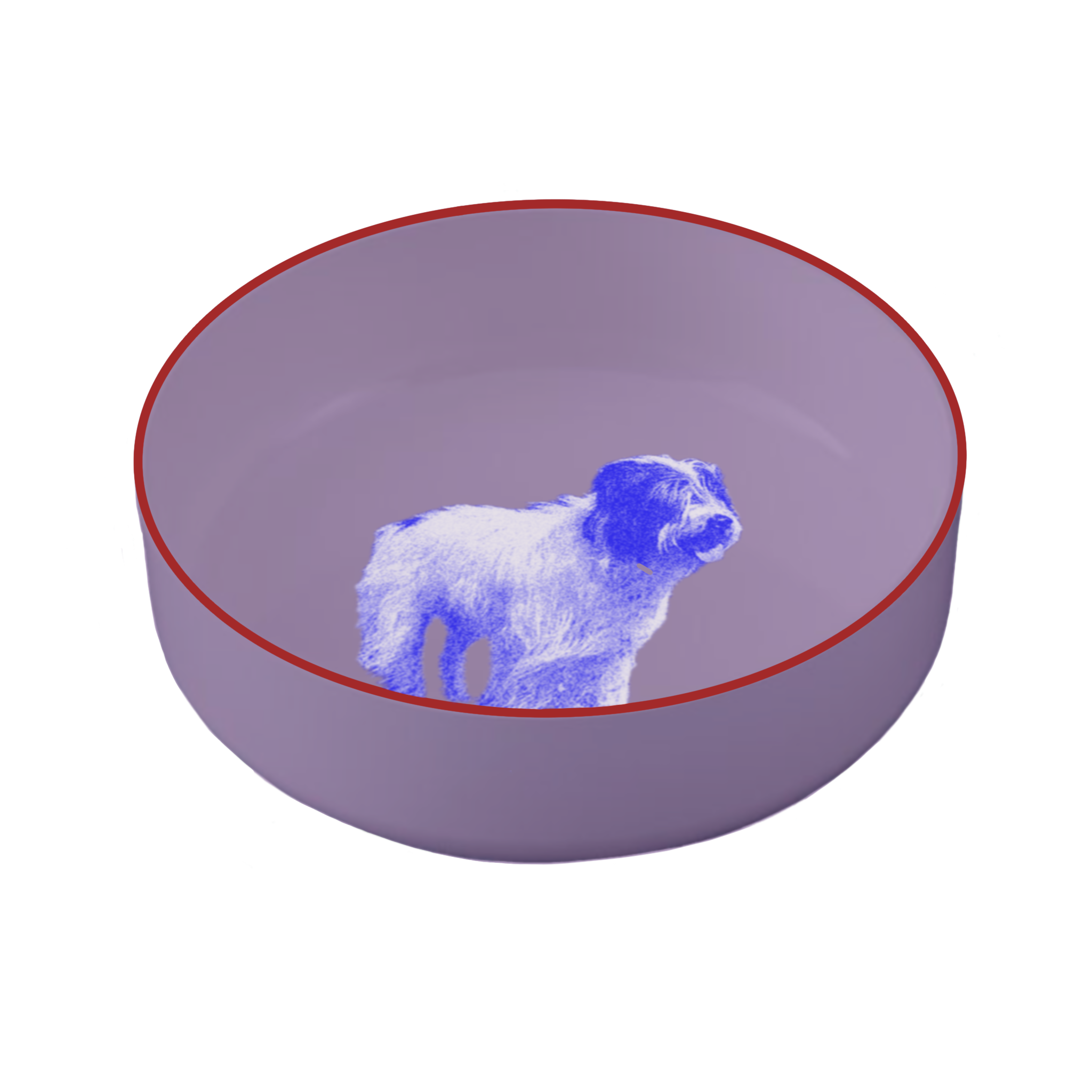 IMG_0293.PNG