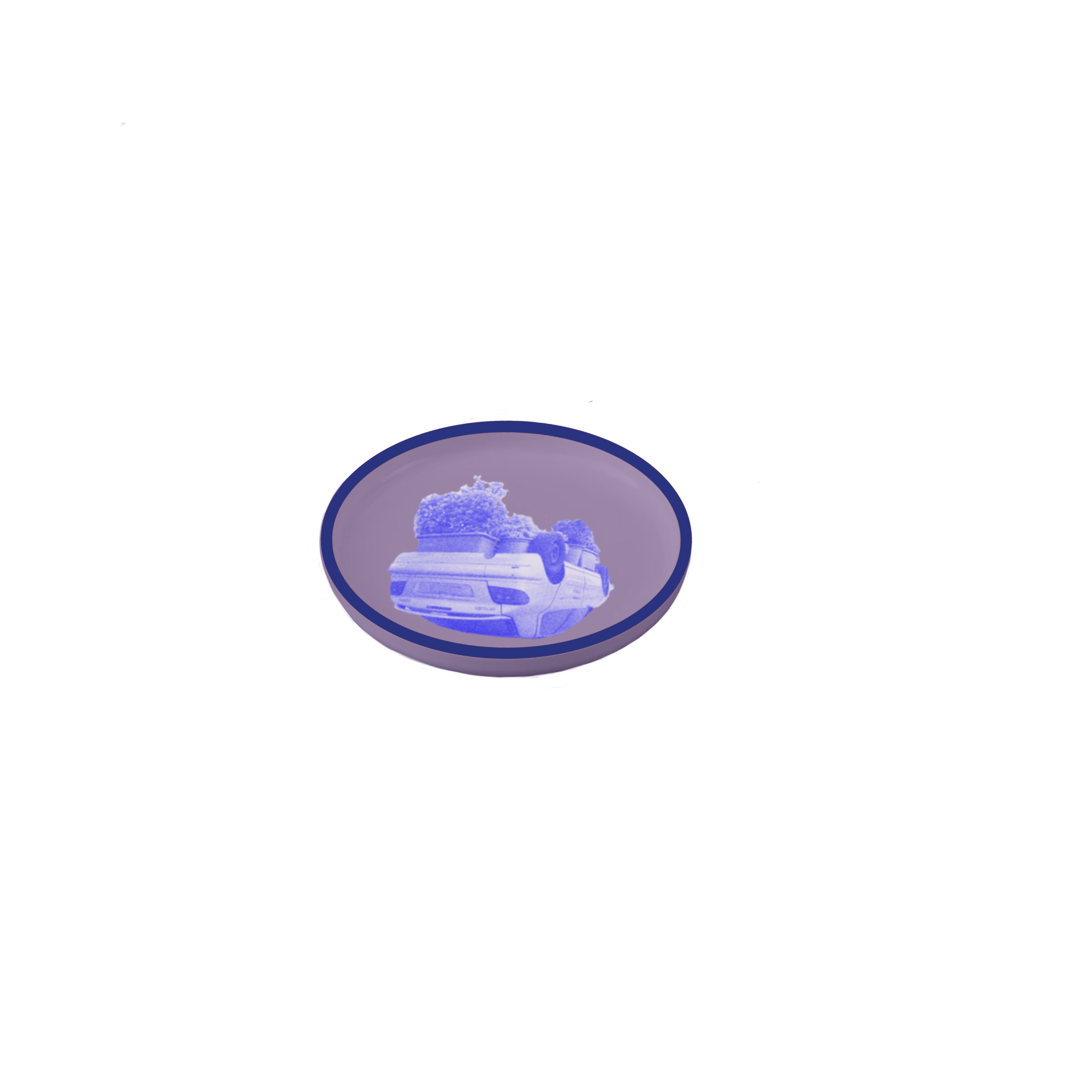 IMG_0337.PNG