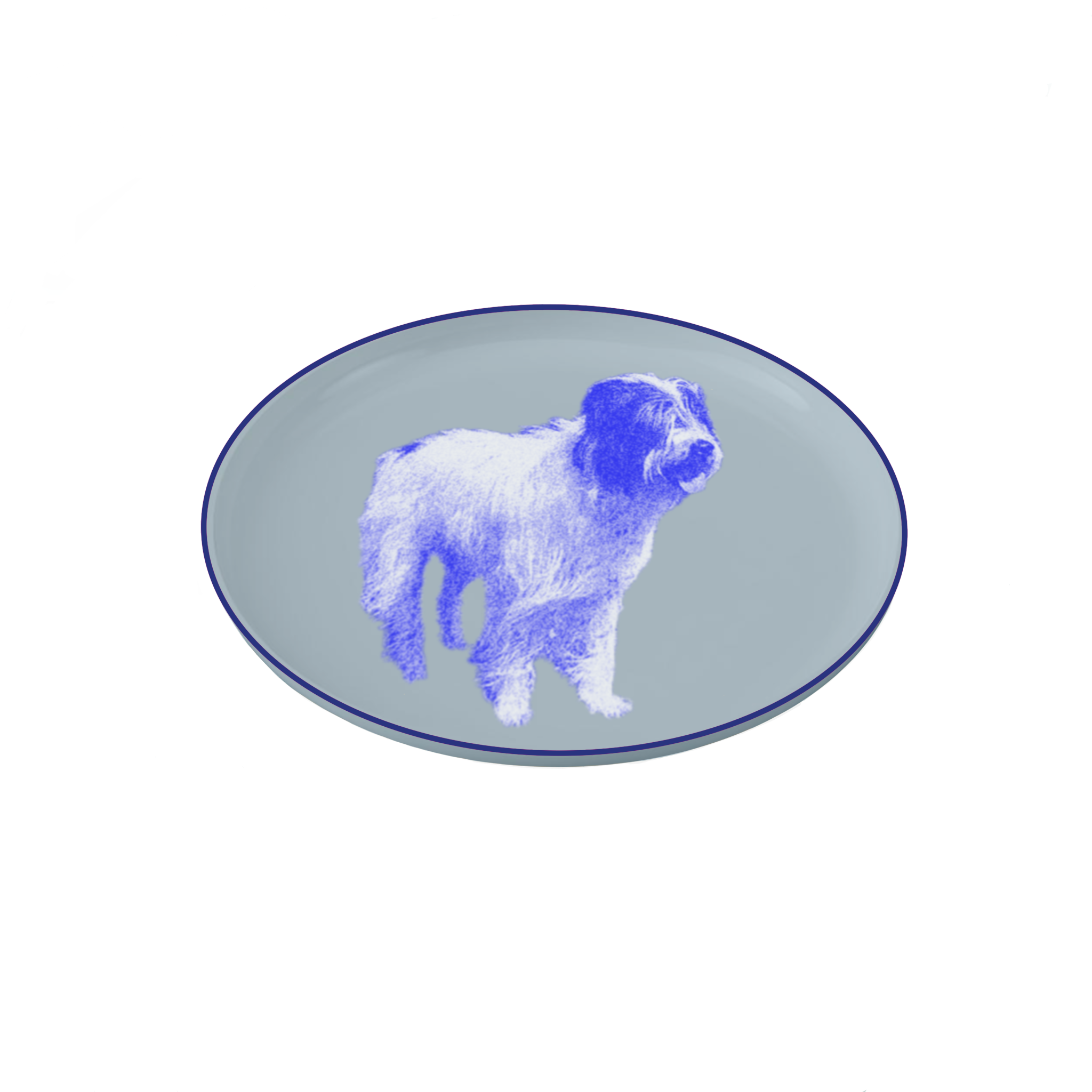 IMG_0216.PNG
