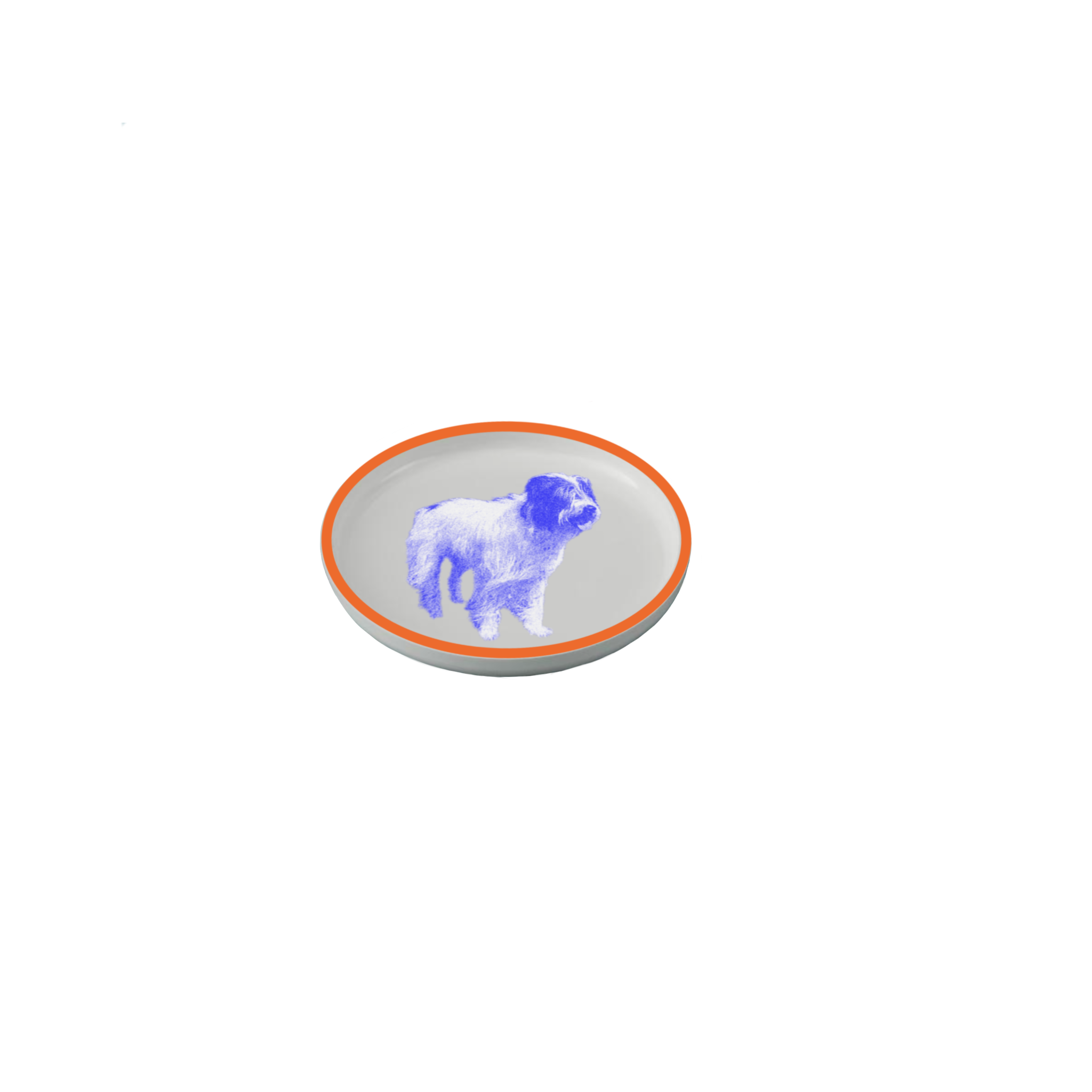 IMG_0311.PNG