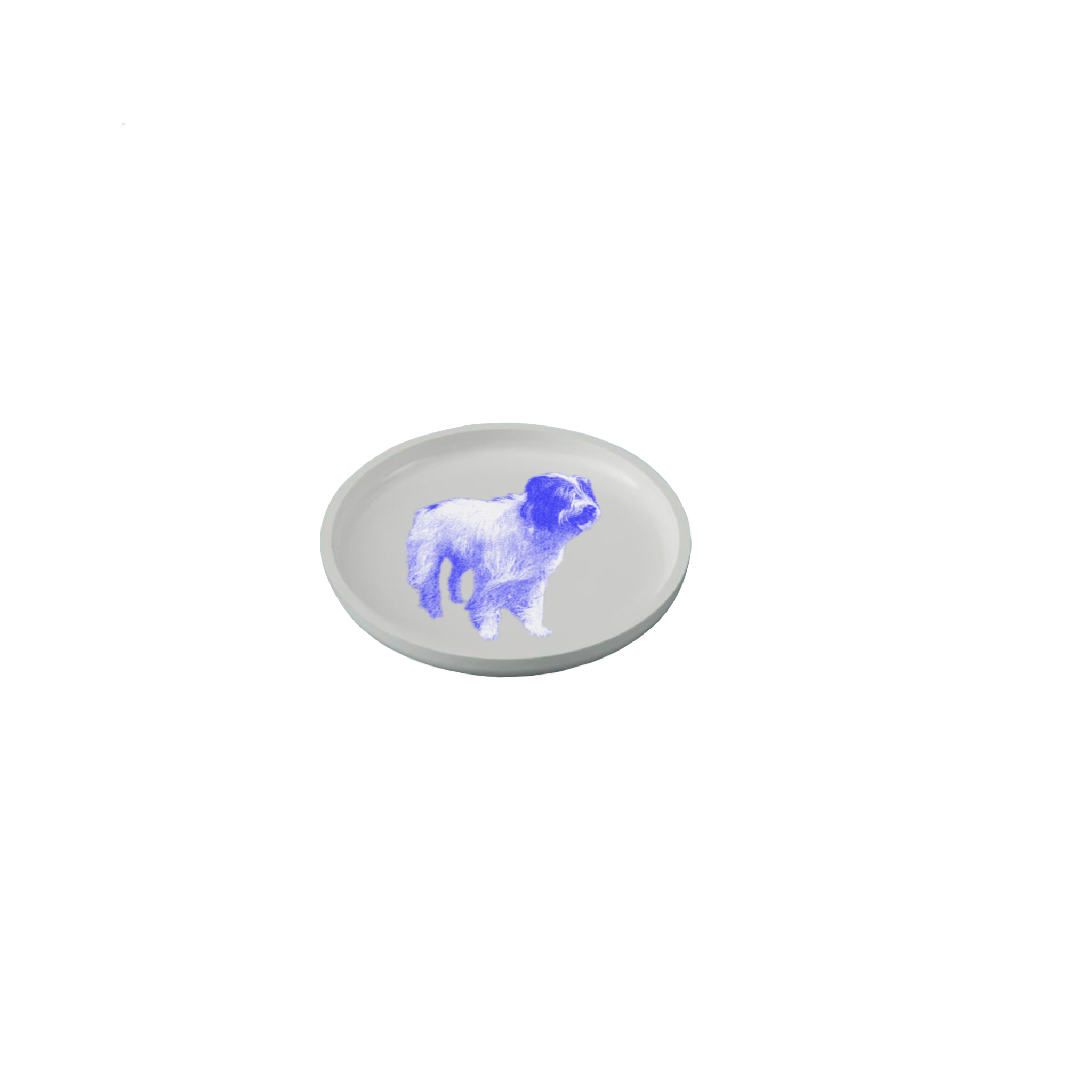 IMG_0323.PNG