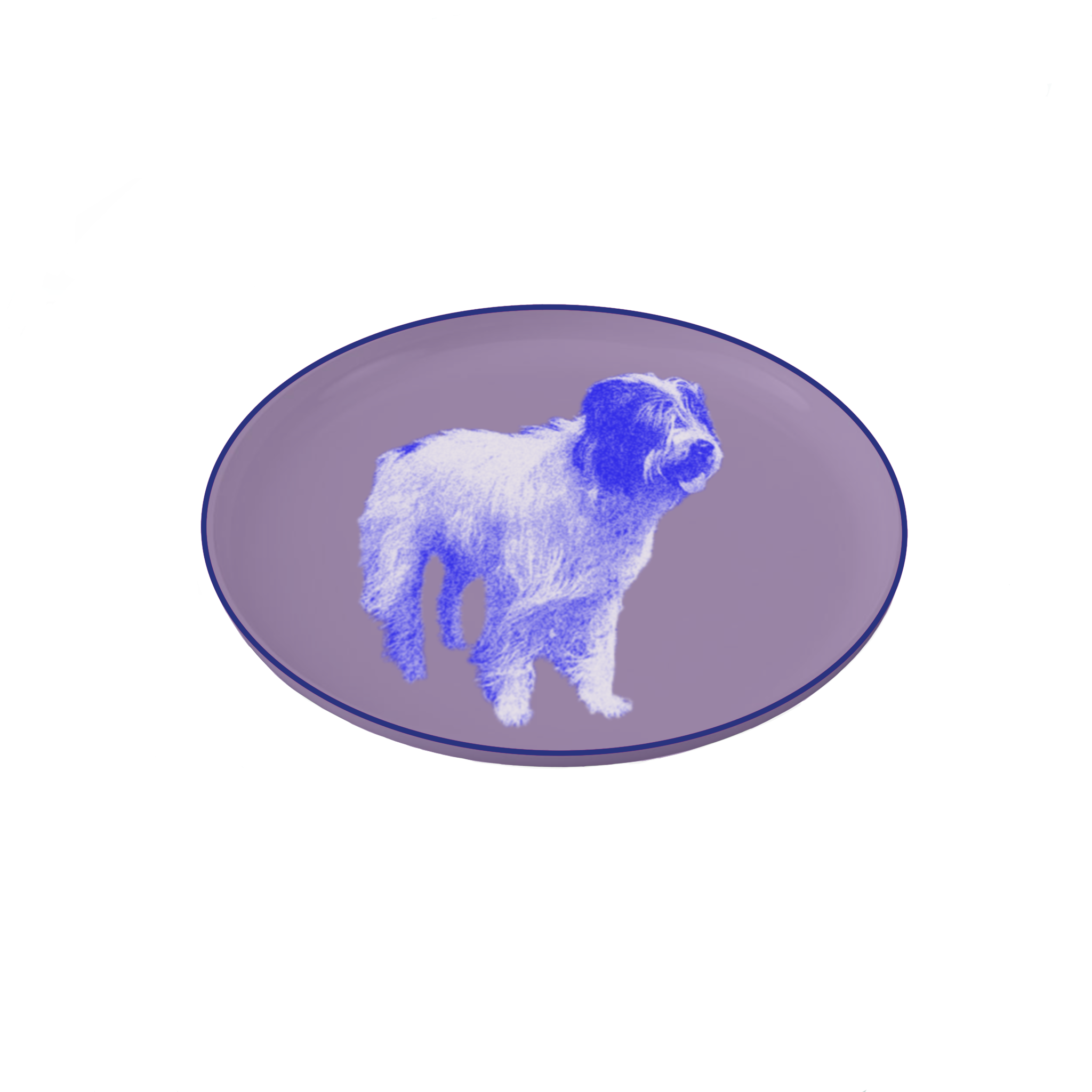 IMG_0220.PNG