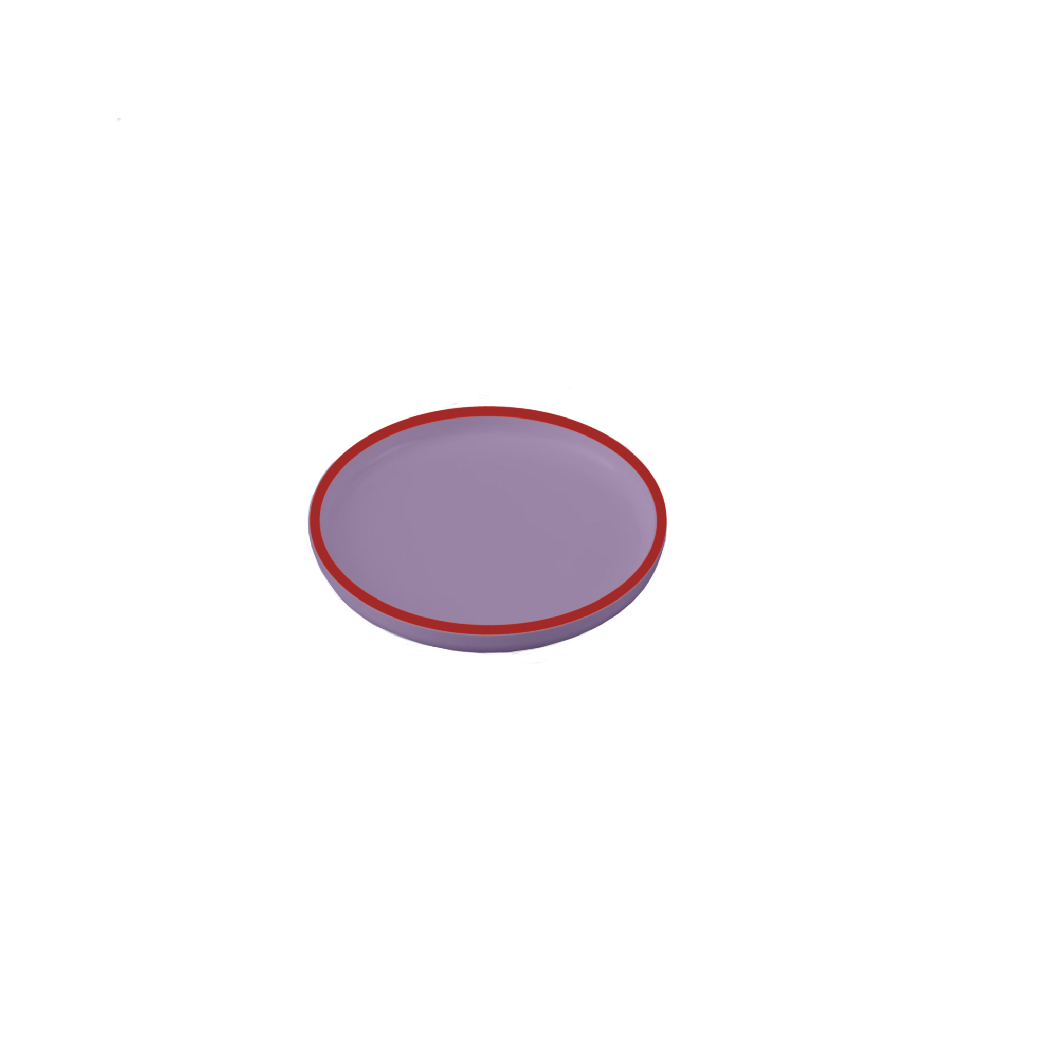 IMG_0329.PNG