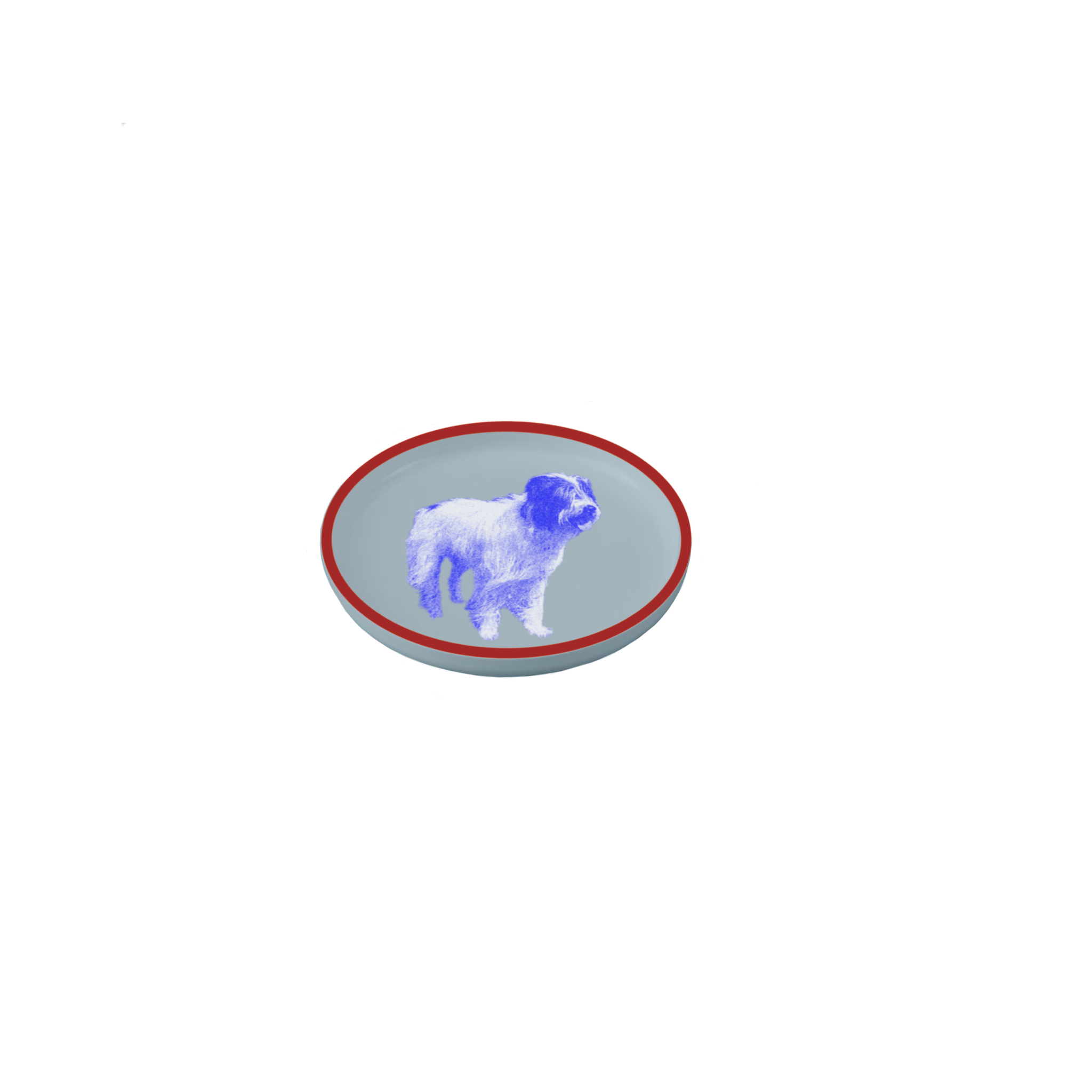 IMG_0350.PNG