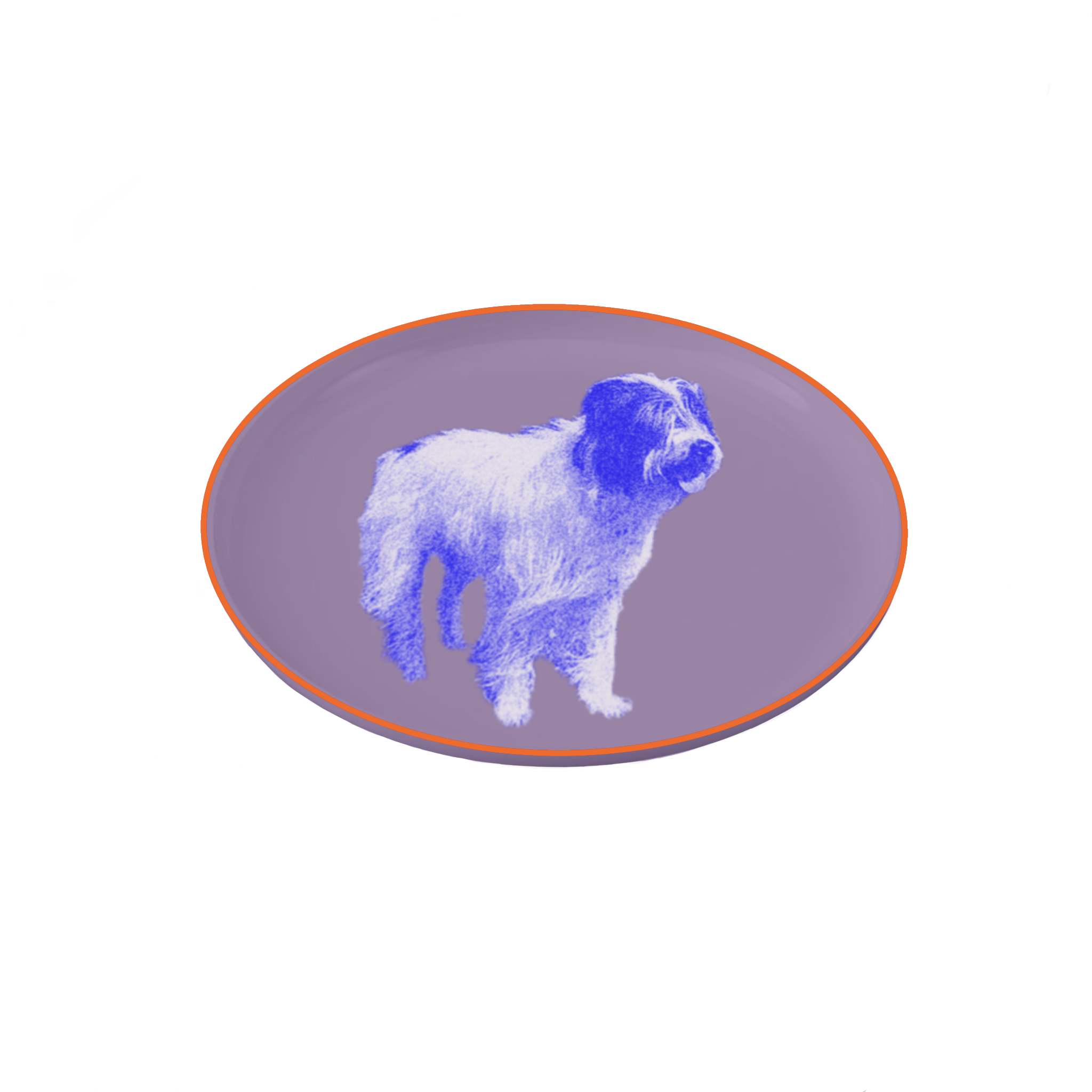 IMG_0222.PNG
