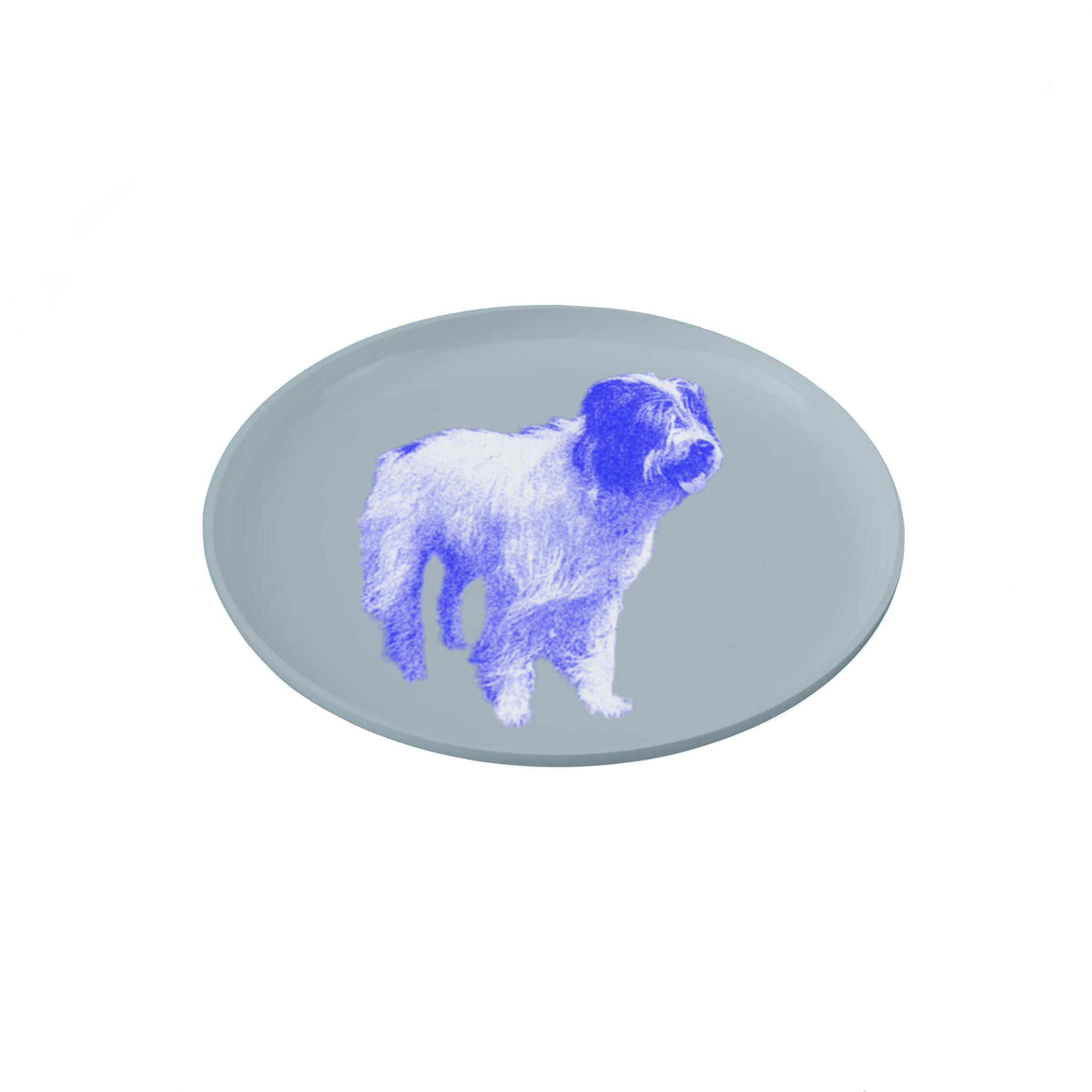 IMG_0215.PNG
