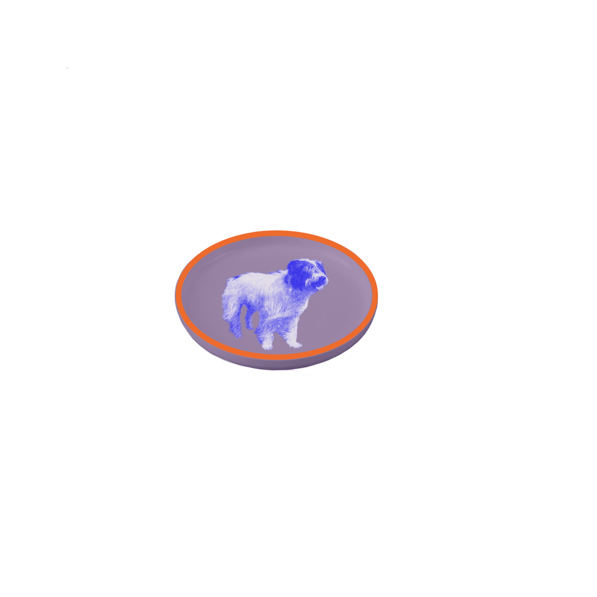 IMG_0333.PNG