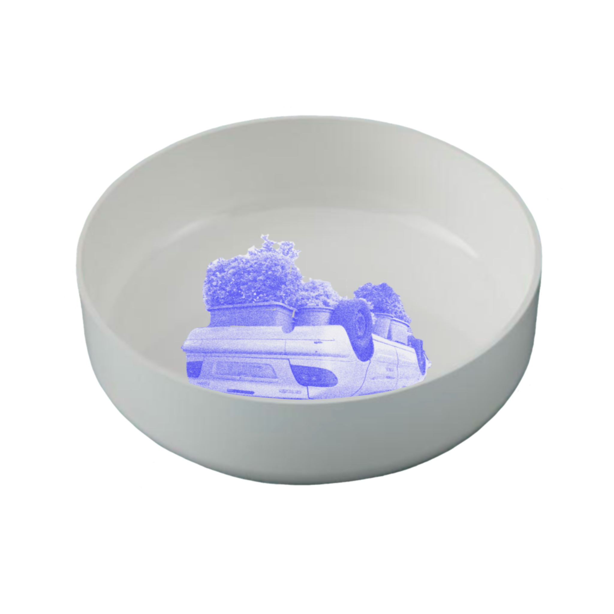 IMG_0266.PNG