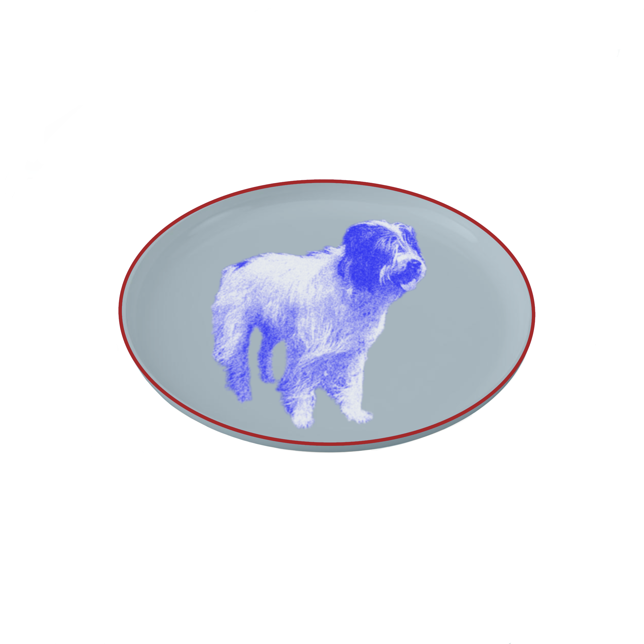IMG_0217.PNG
