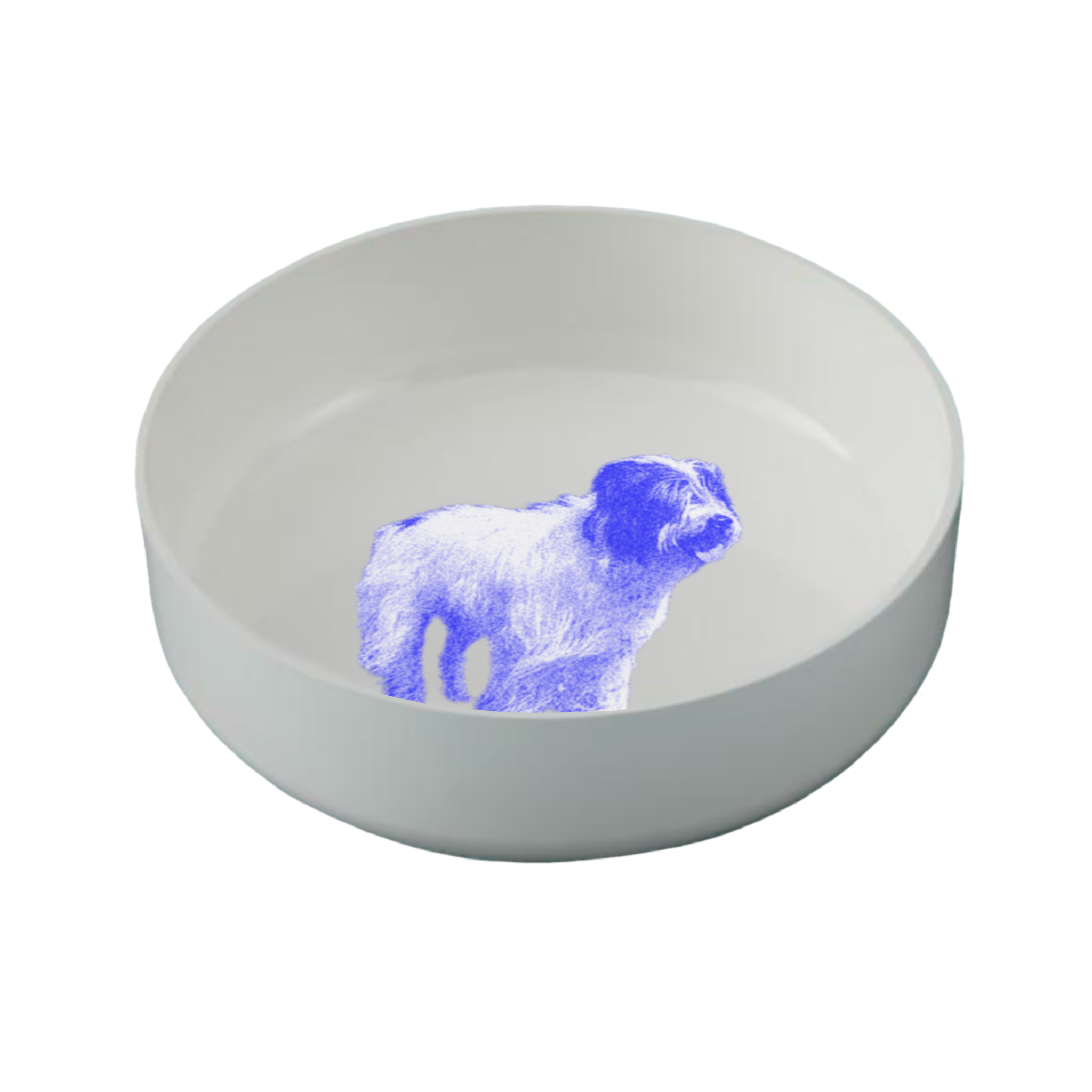 IMG_0267.PNG