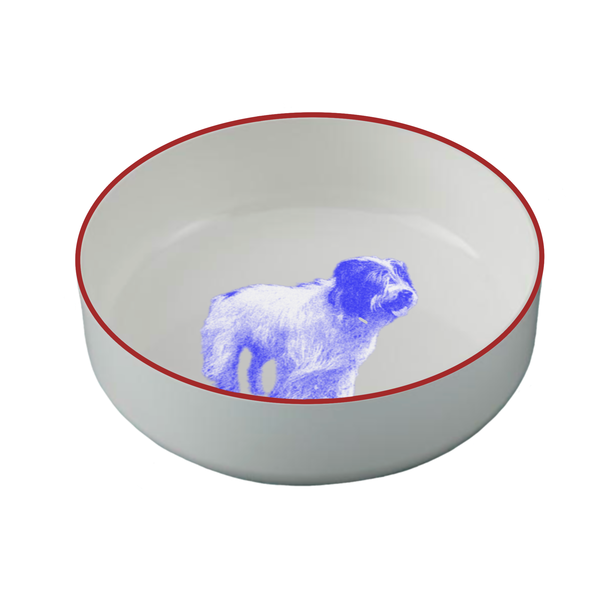 IMG_0302.PNG