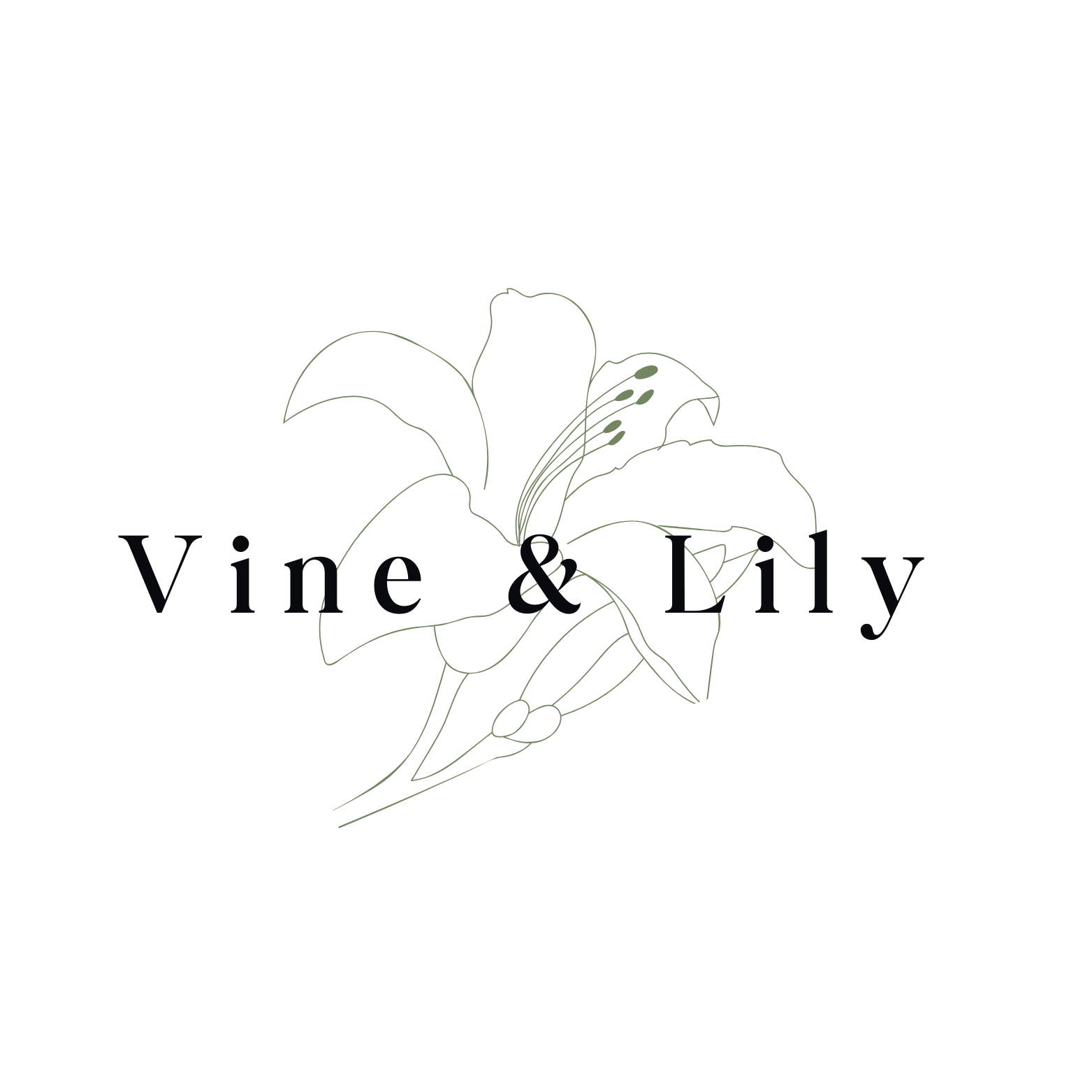 Line drawing of a hand holding a flower with large petals and stamens, overlaid with the text "Vine & Lily" in a dark, elegant font.