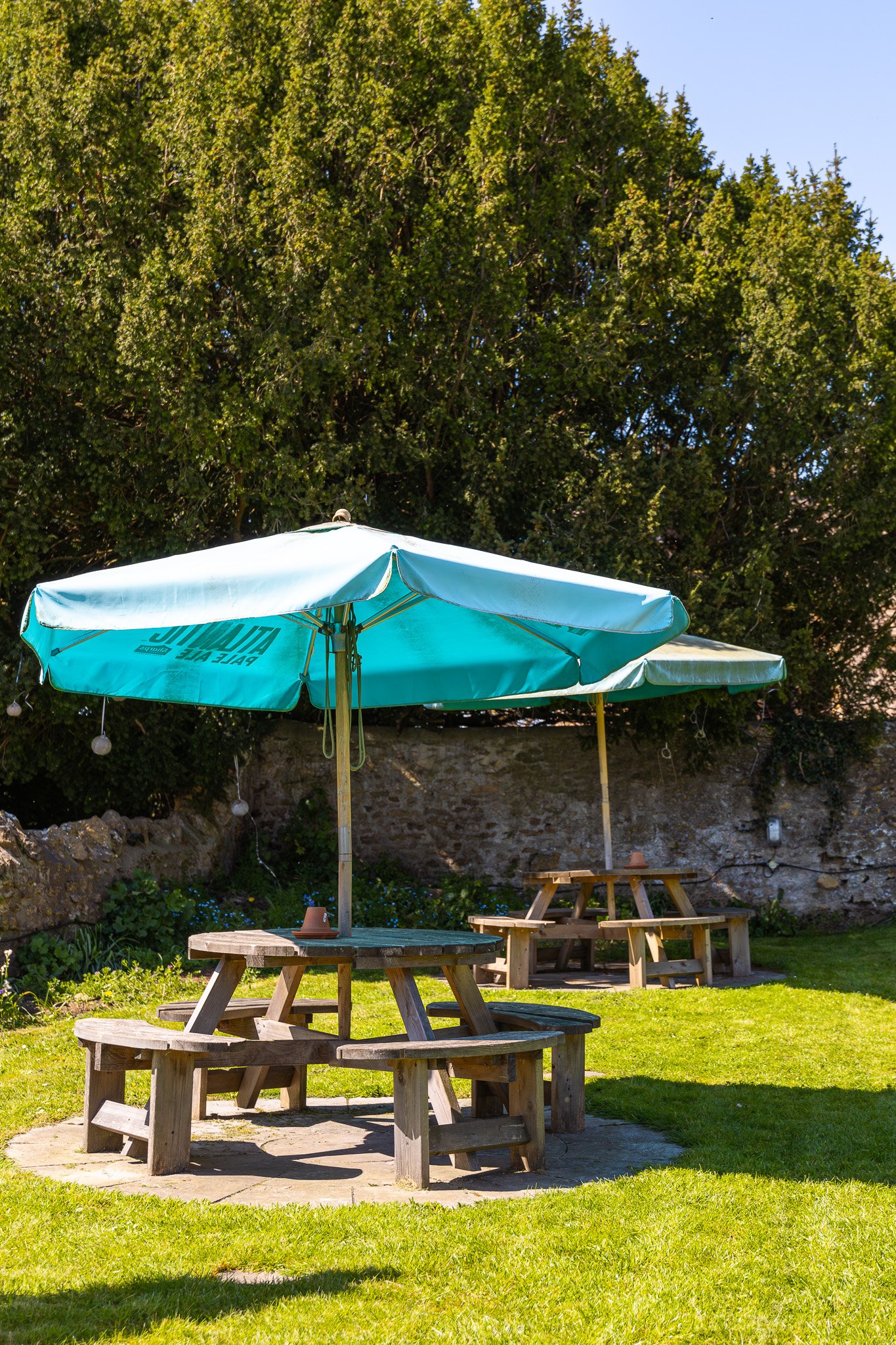 Outdoor patio with wooden picnic tables and large turquoise umbrellas, lush green grass, a stone wall, and large trees in the background.