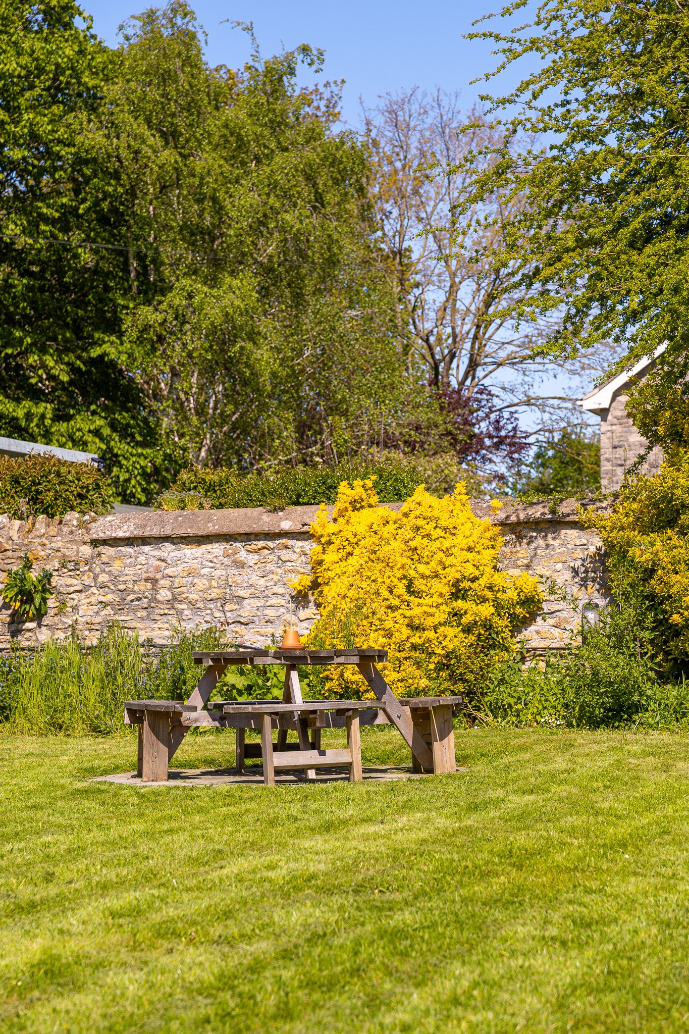 A garden with a stone wall, green grass, bush, and a wooden picnic table with a clay pot on top, surrounded by trees with green leaves and some with brown tree branches, under a clear blue sky.