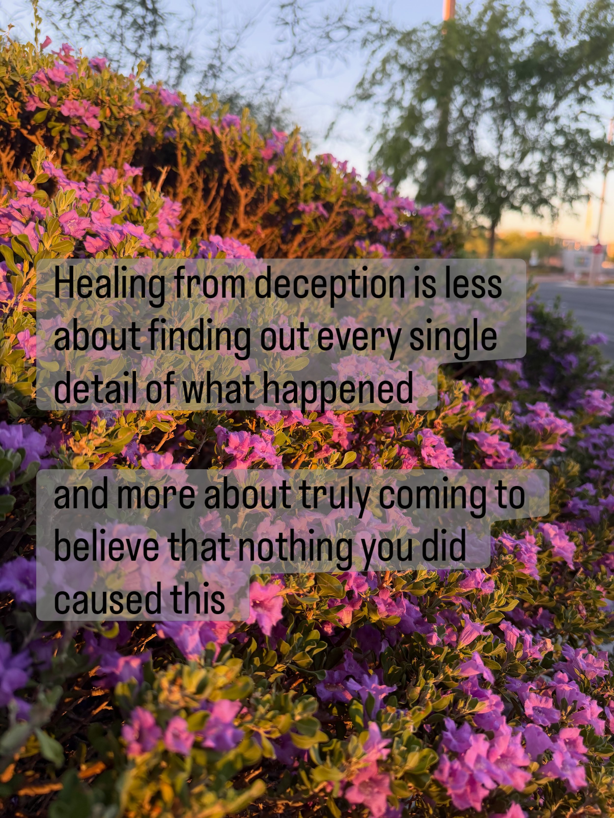 Was your relationship perfect before the affair?

No

Are you a perfect partner? 

No 

Making the choice to step out of a relationship and violate your partner&rsquo;s consent is still a choice 

Real healing is possible 

And you don&rsquo;t have t