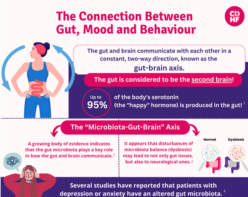 Infographic titled "The Connection Between Gut, Mood and Behaviour" showing the relationship between gut microbiota, mood, and behavior, with a diagram of a woman with a gut illustration and a section comparing normal and dysbiosis.